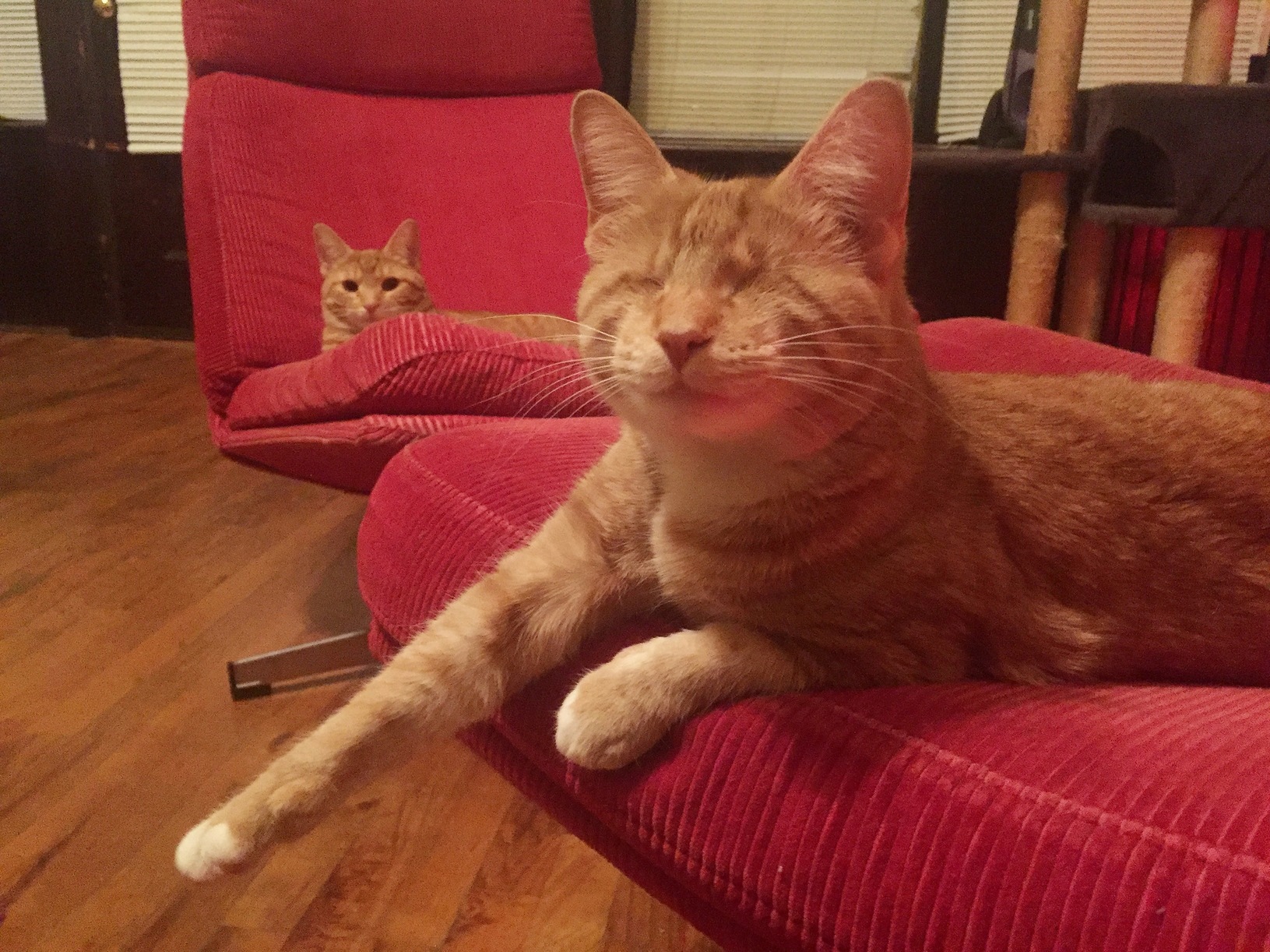 Rey and Leias Favorite Spots