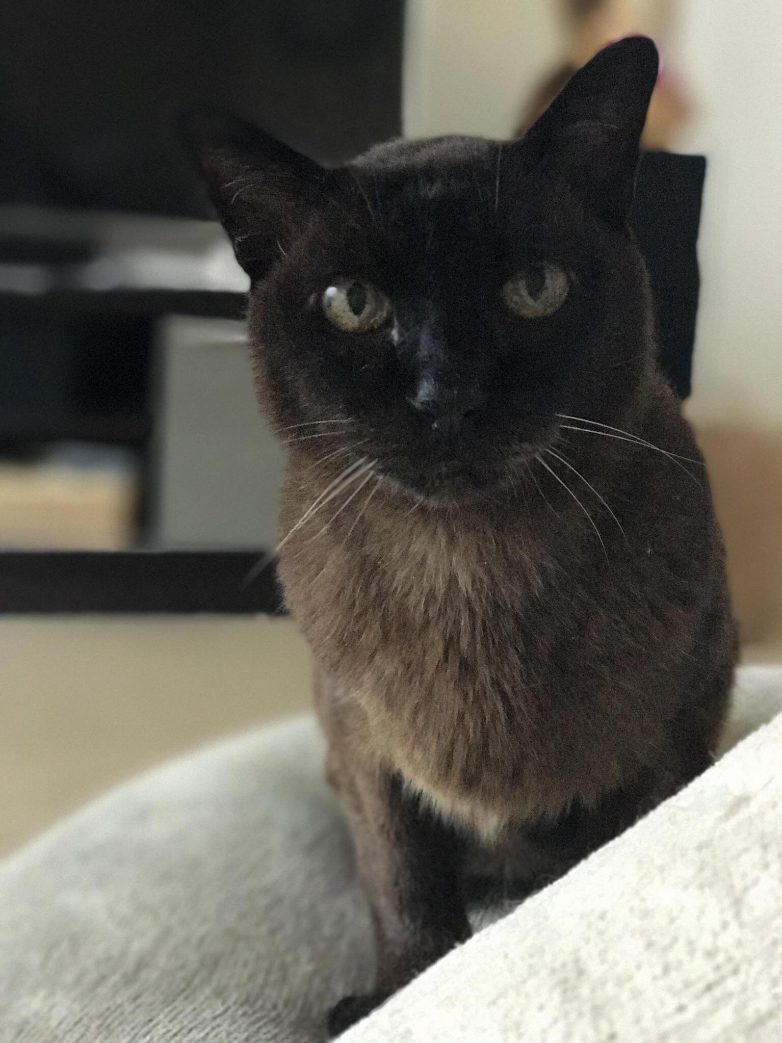 Rico Is 20 Years Old but Behaves Like a 10 Year Old