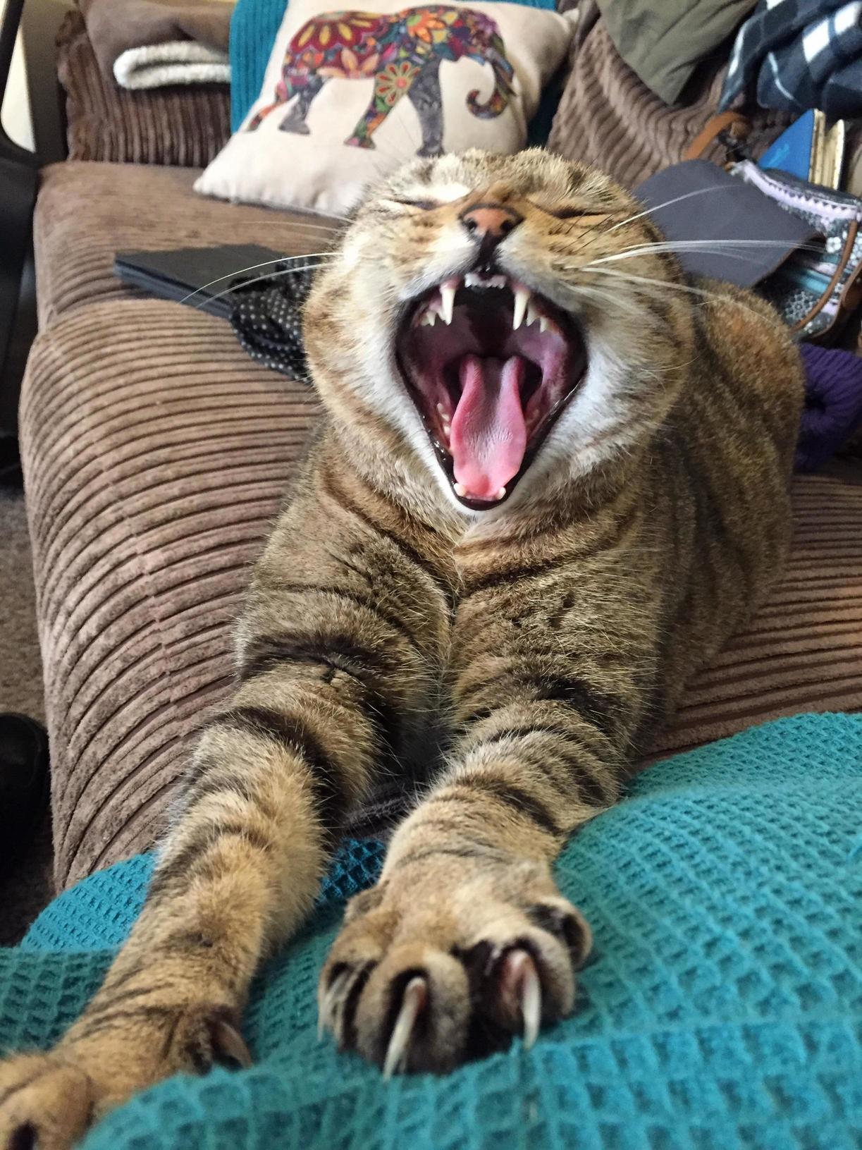 Rrrrraaaaaggggggg