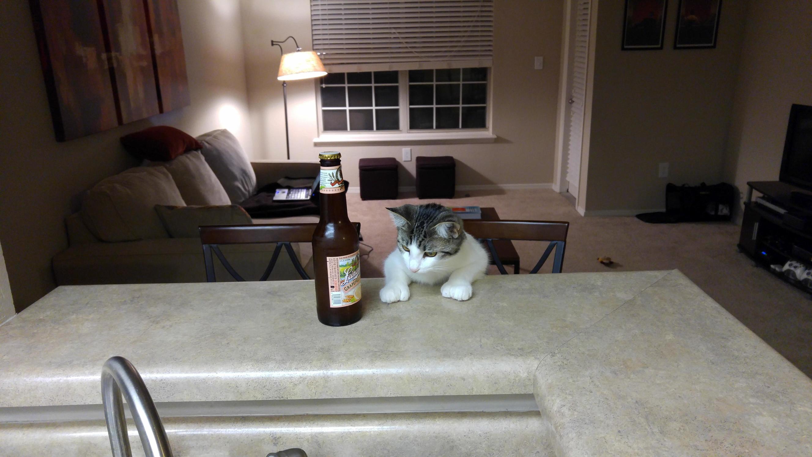 She Had a Tough Day at Work