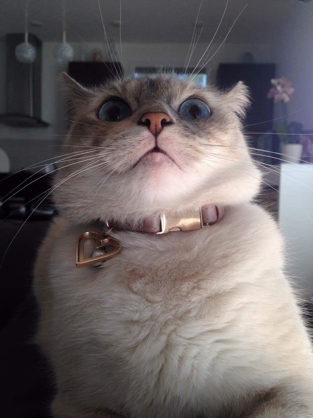 She Just Had a Crazy Epiphany.