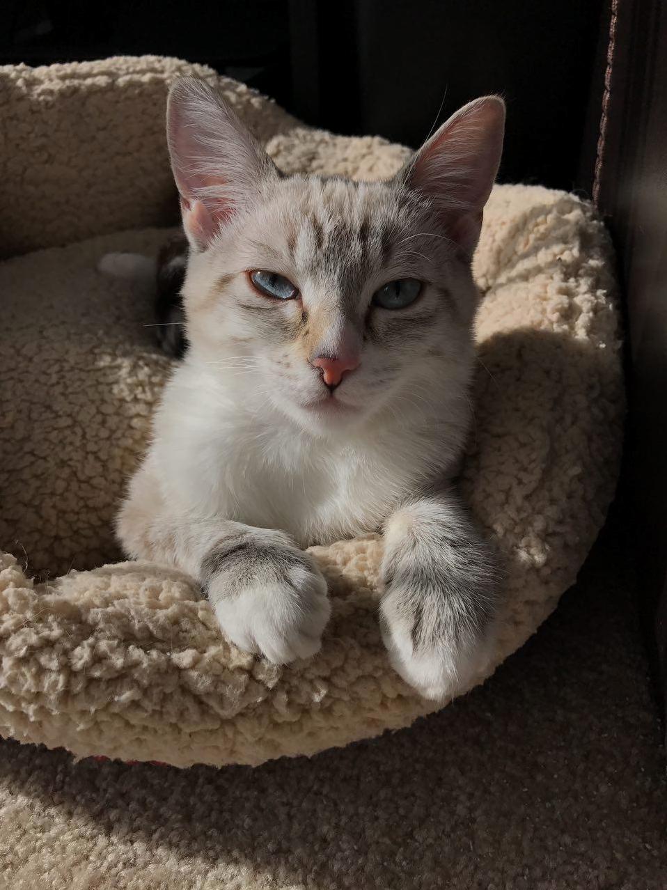 She Looked Over at Me After What Seemed Like Hours of Laying in the Sun... but It Was Worth It to See Those Beautiful Eyes
