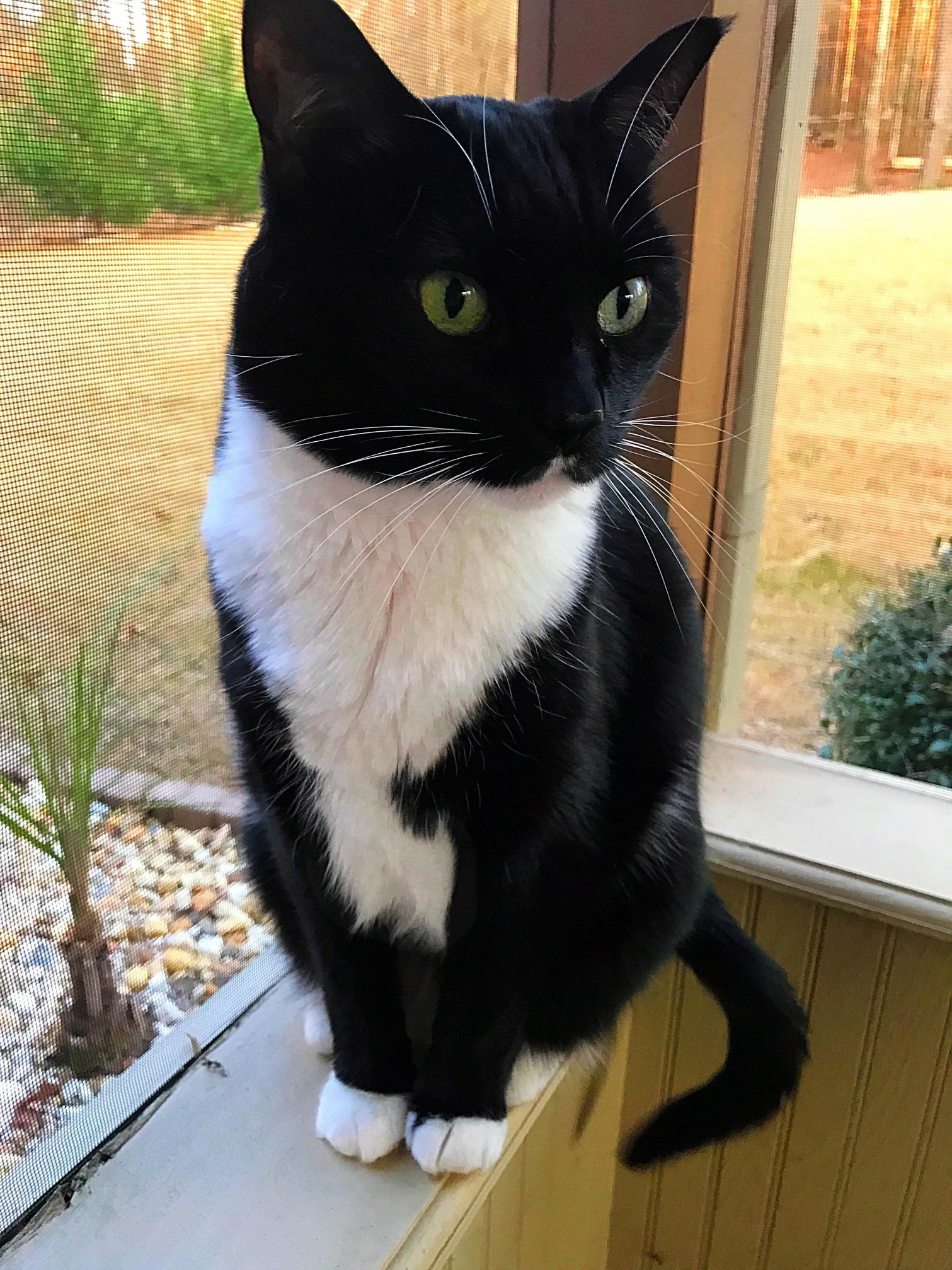She Loves Hanging Out Here