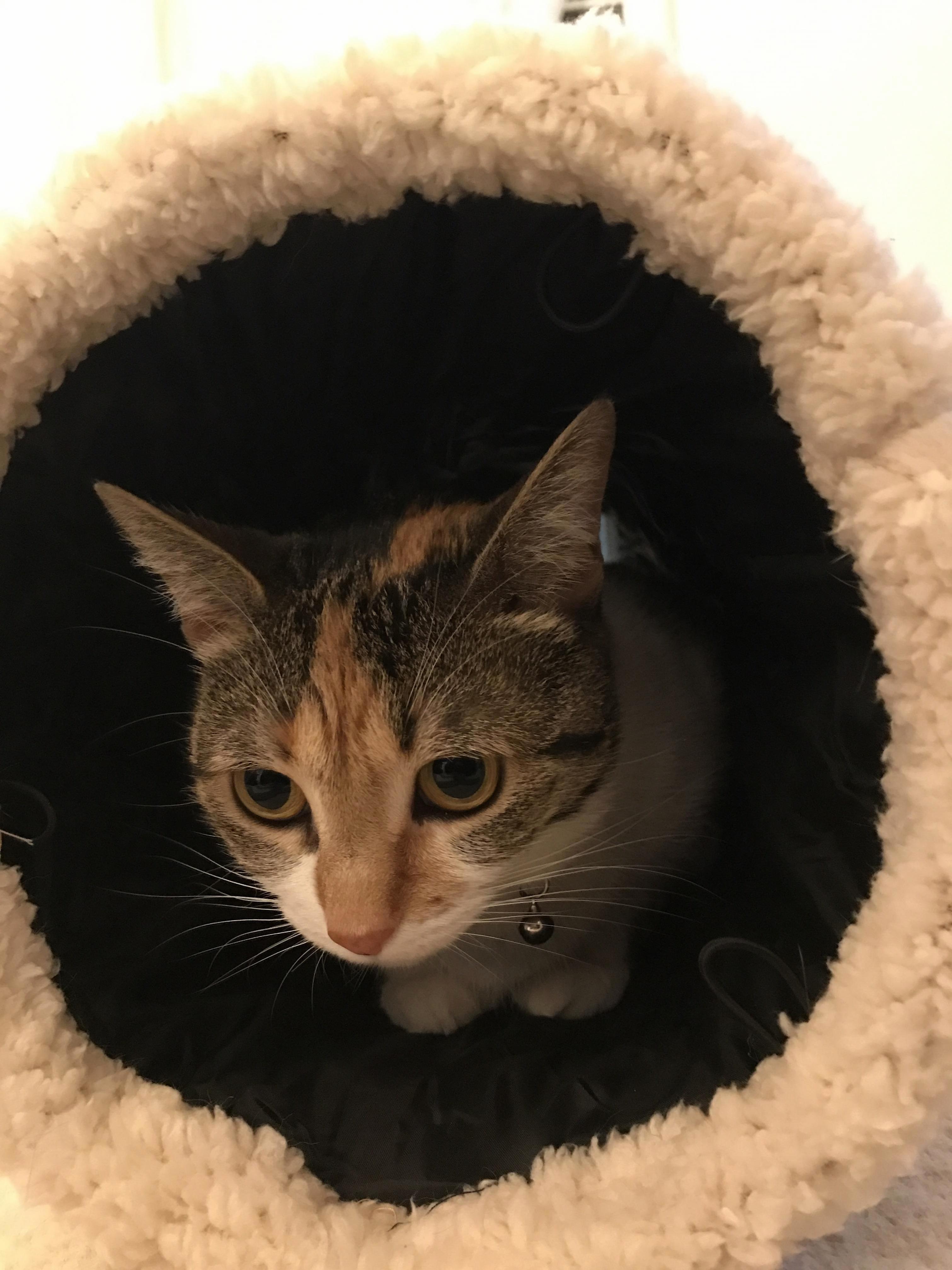 She Loves This Tunnel.