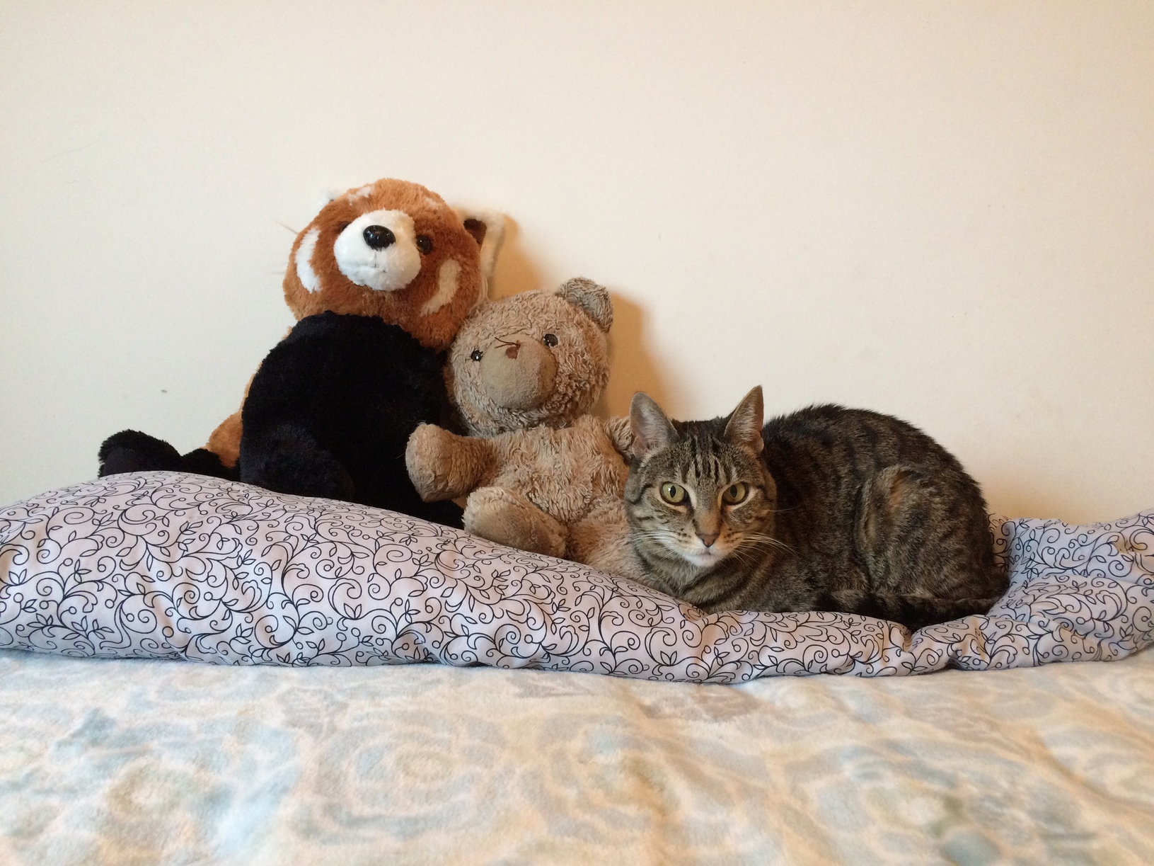 She May Not Have Been the Nicest to Strangers but She Was Always a Secret Softie. Rip Queen Cleo