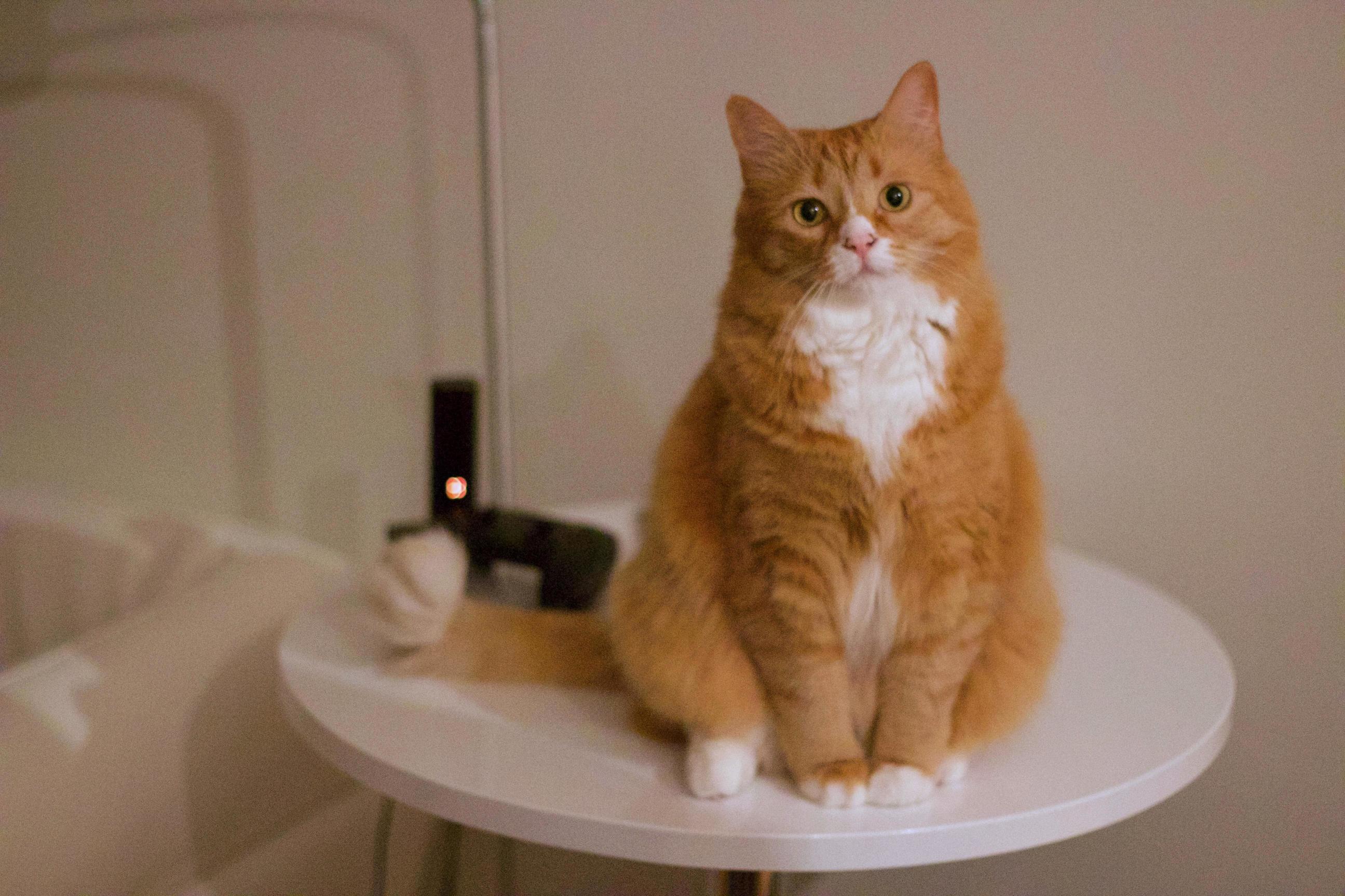 She Pretends to Be Well Behaved.