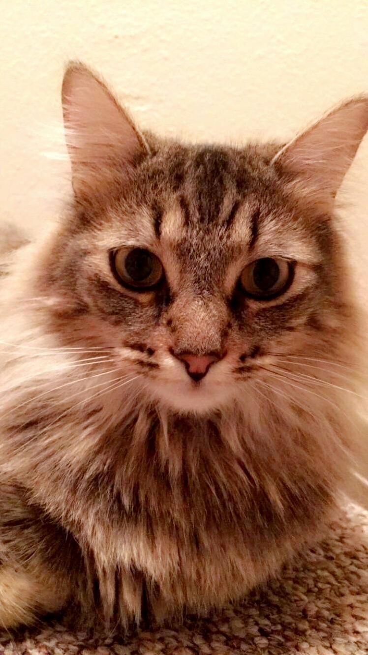 Shes a Good Lil Lady
