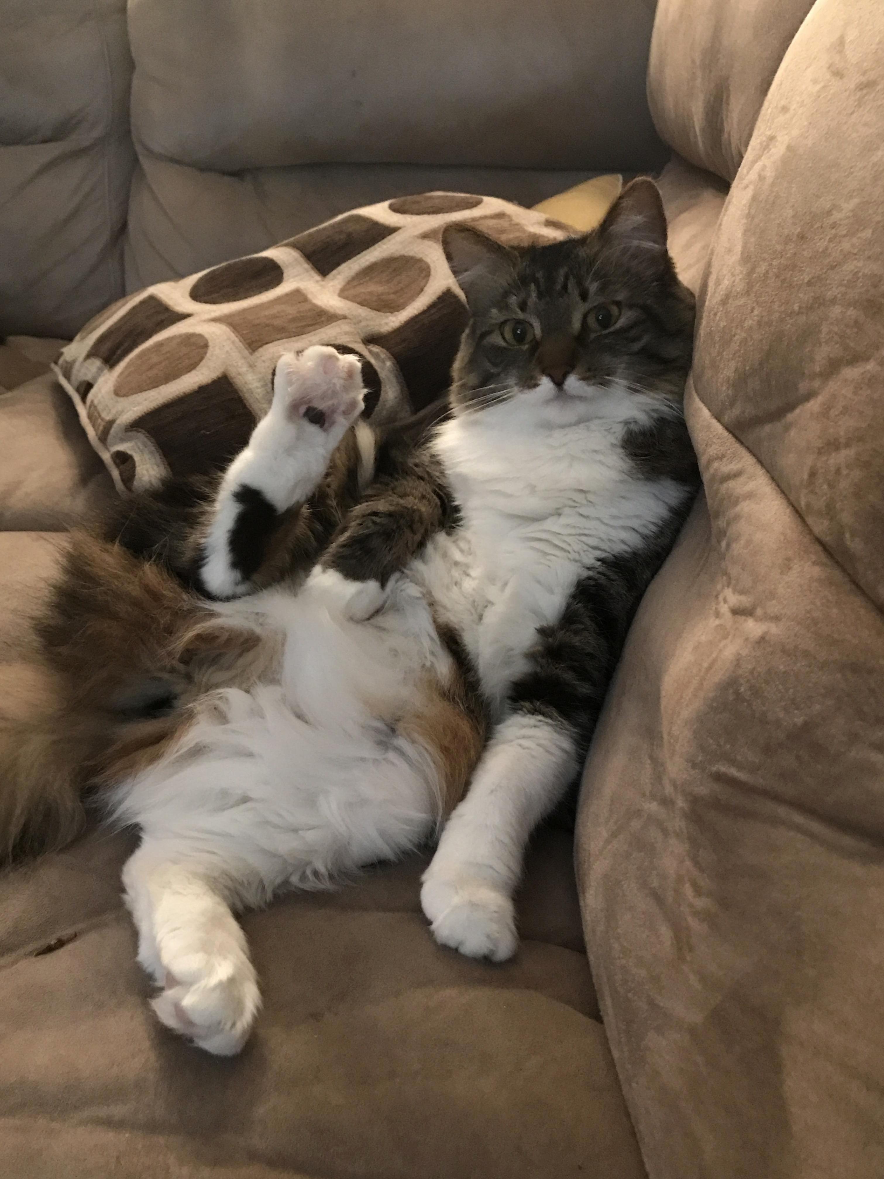 Shes Been Sitting Like This for About 10 Mins Now.