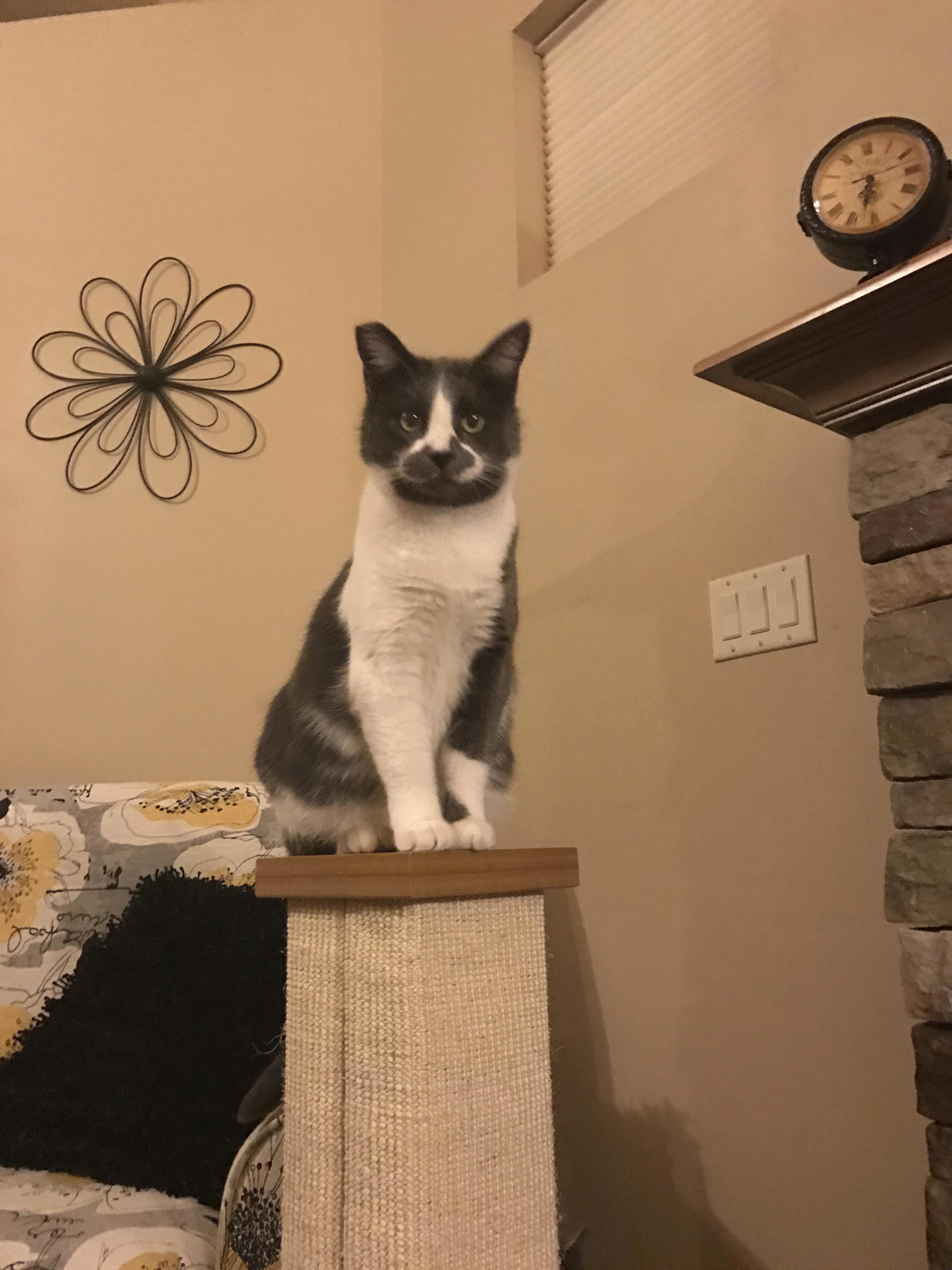 Shes Kind of Got a Weird Looking Face