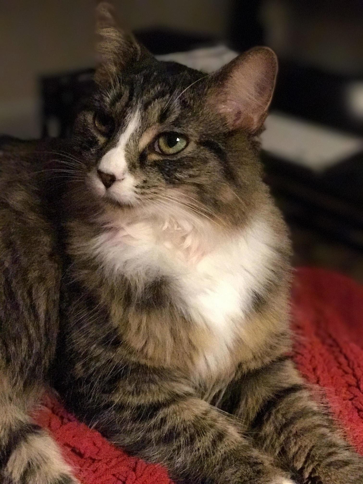 Shes Loves to Give Me I Know You Had a Long Day Cuddles