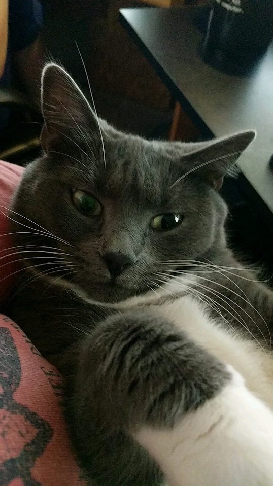Shes Needy but I Ll Allow It