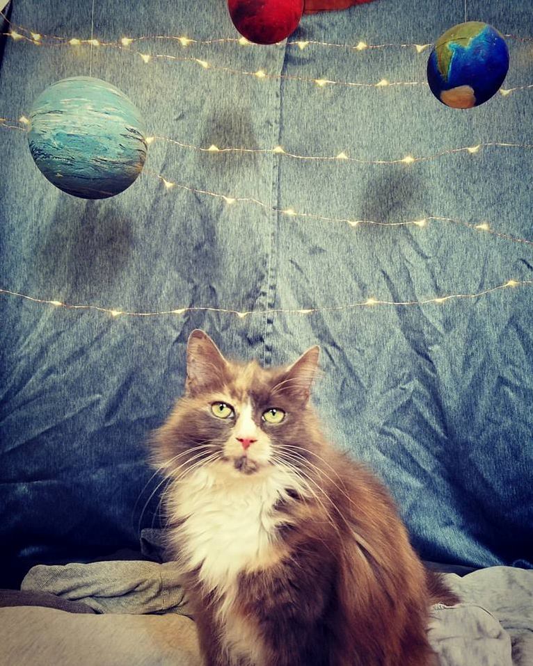 Shes Out of This World Mabel Turns 9 Today