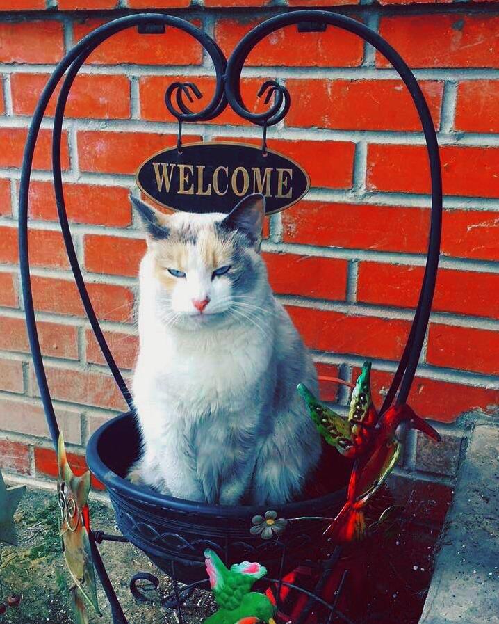 Shes So Welcoming