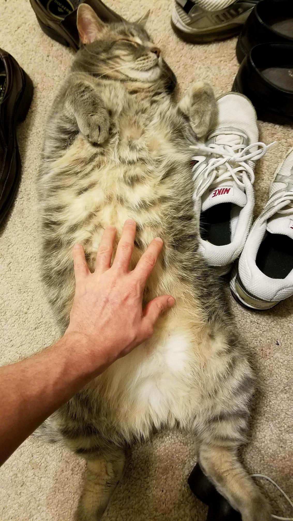 Sleeping Beauty... Hand for Scale