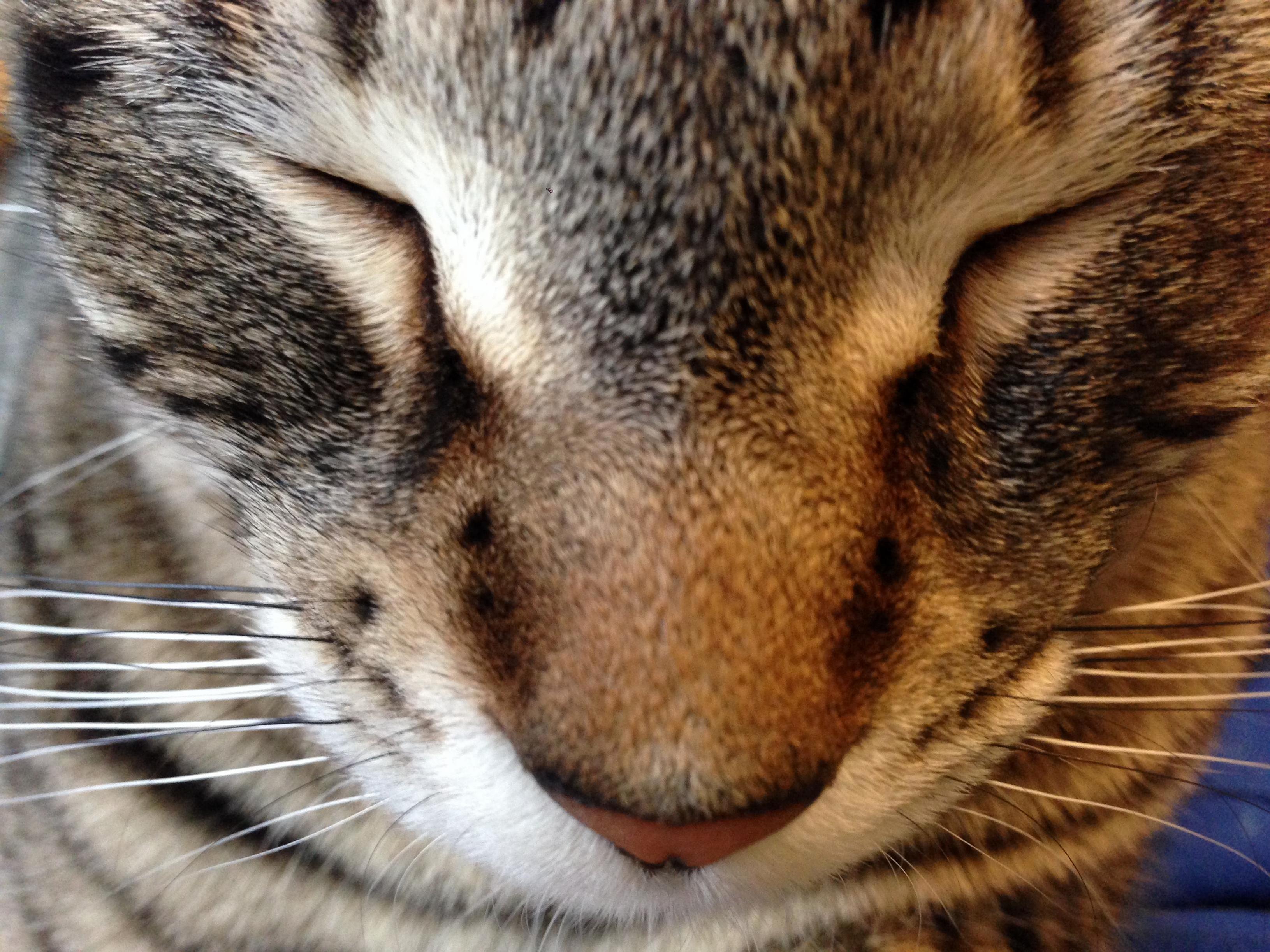 Sleeping