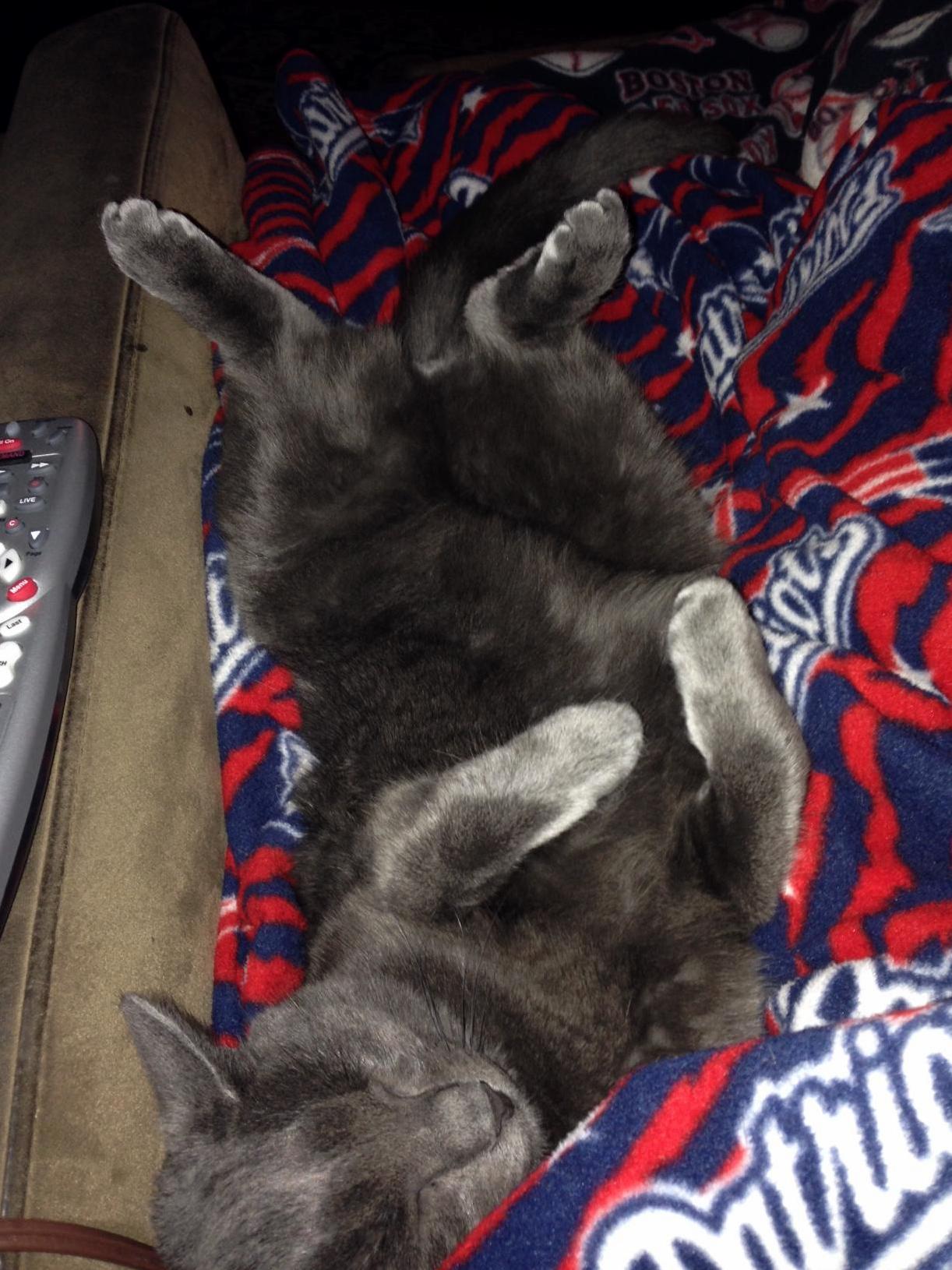 Sometimes Bender Likes to Hang Out When I Watch Tv
