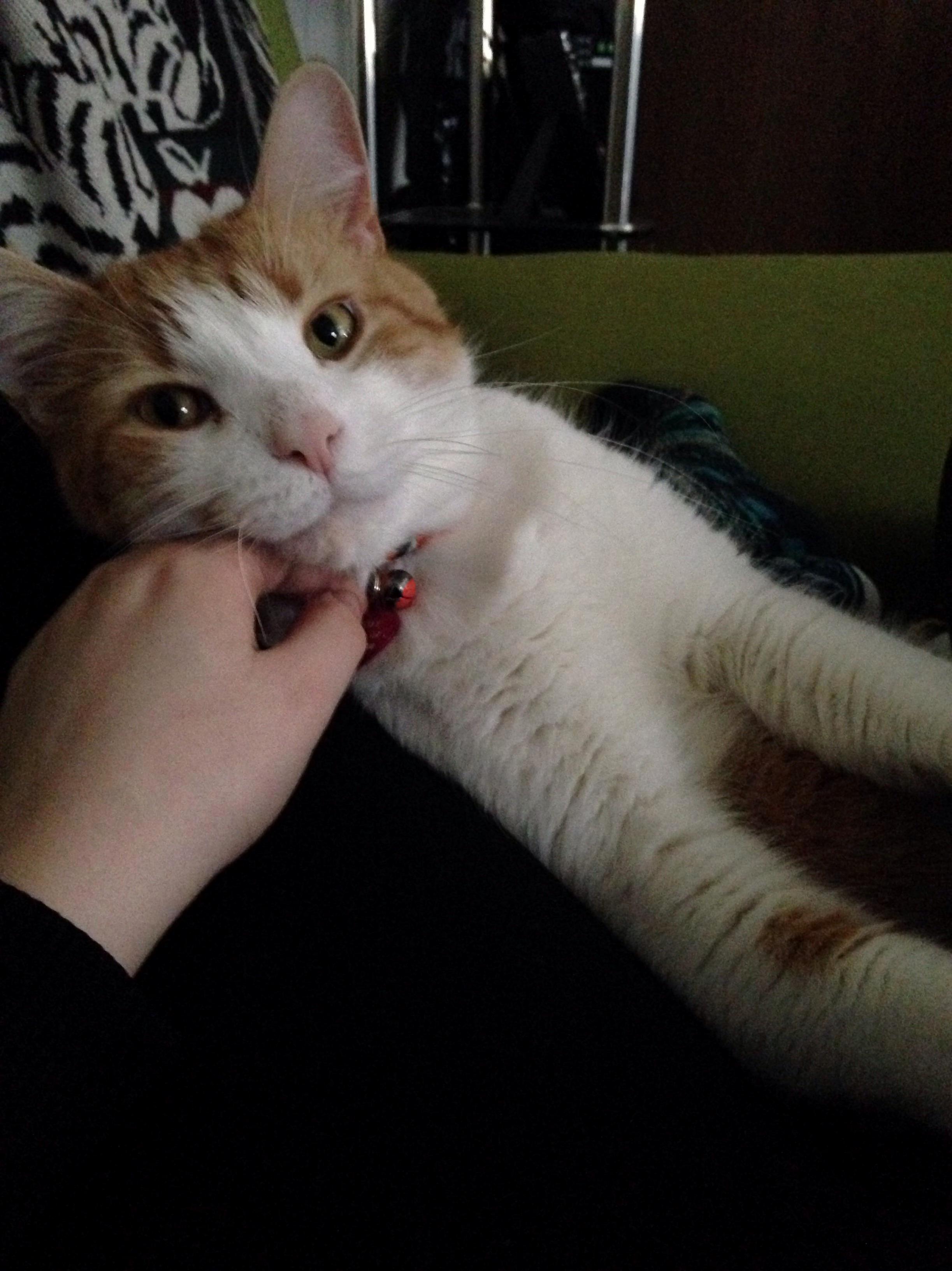 Sometimes Randy Smiles. I Usually Dont Catch It on Camera.