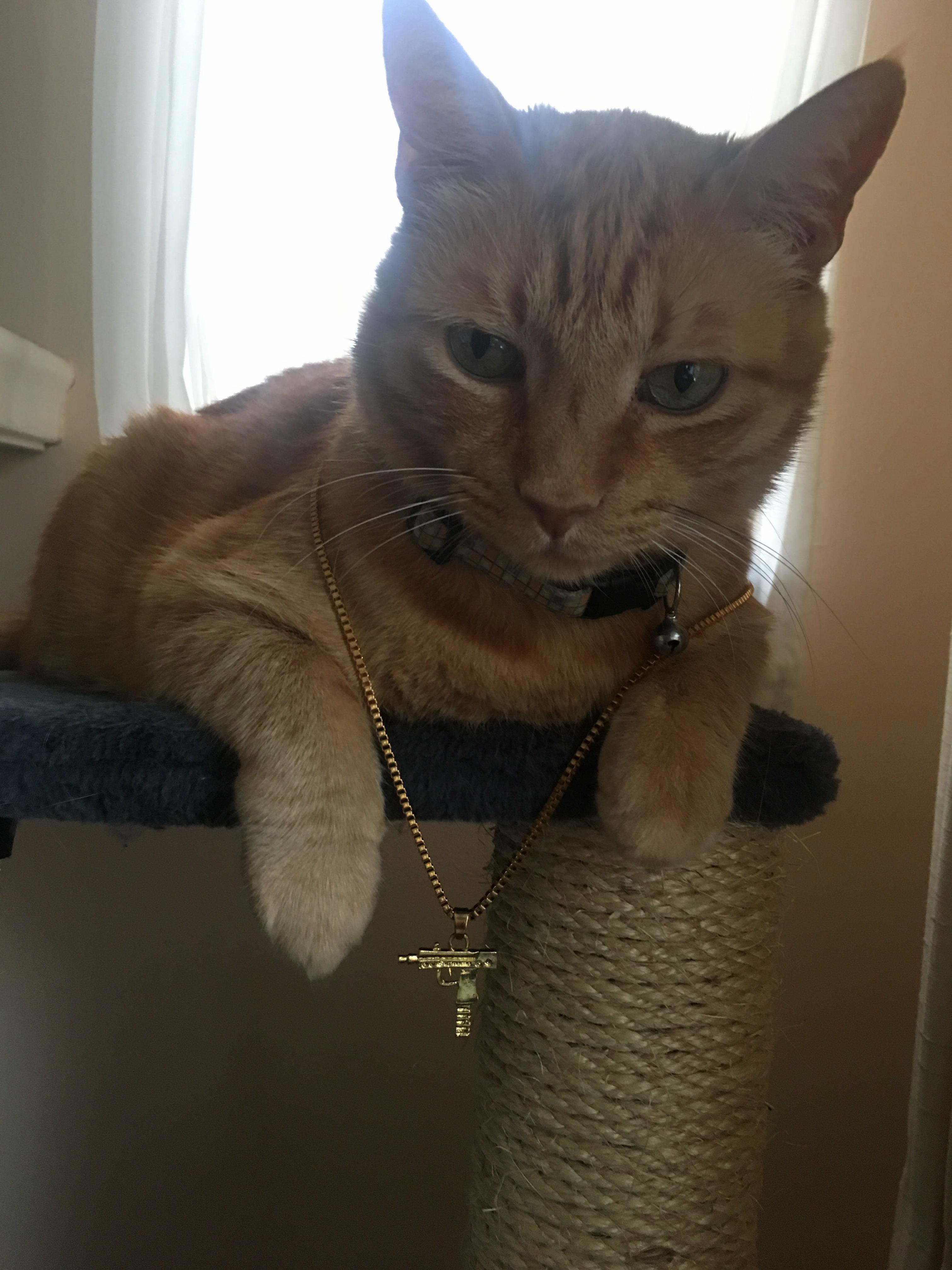 Stylish Boy