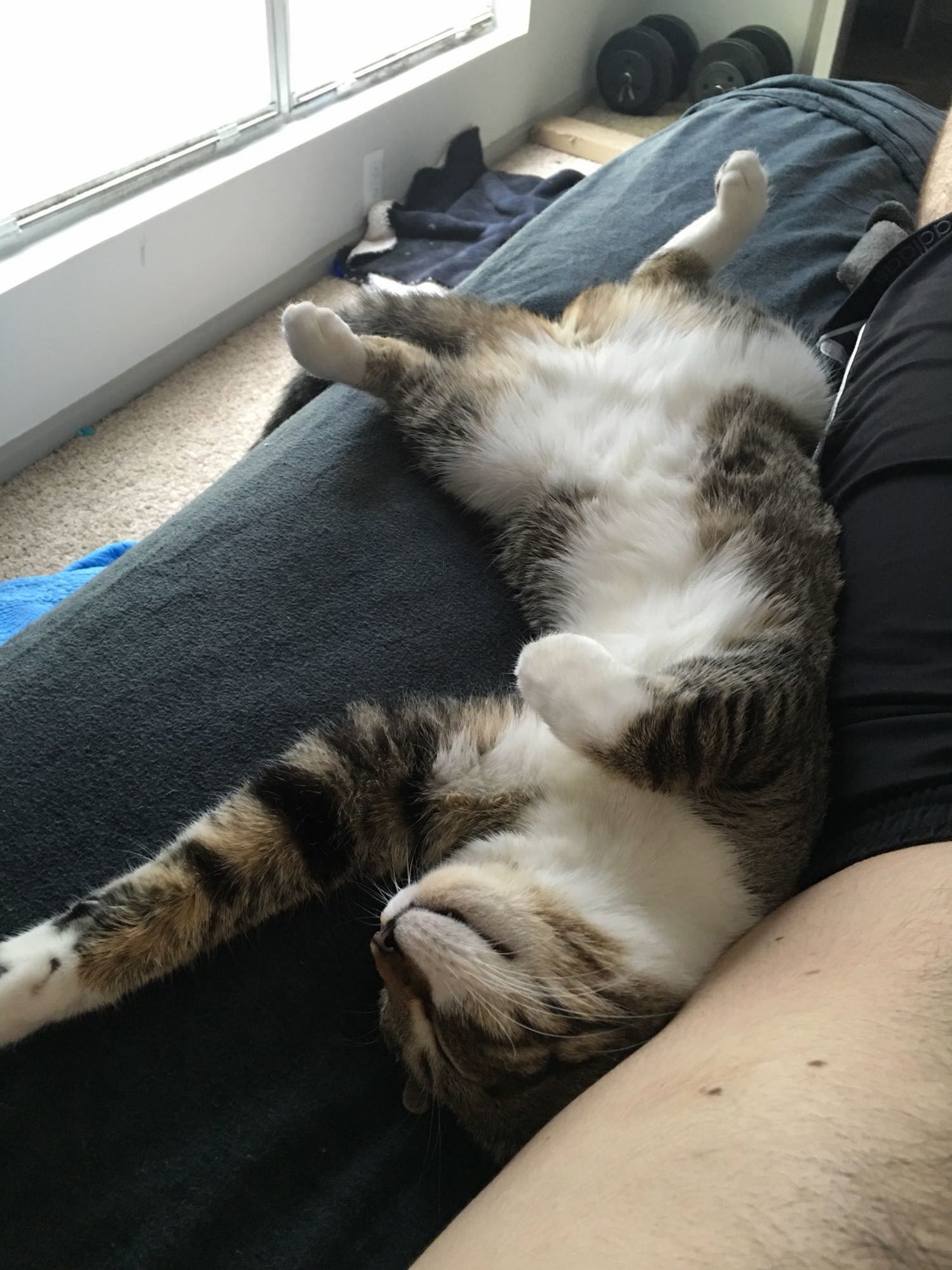 Sunday Naps
