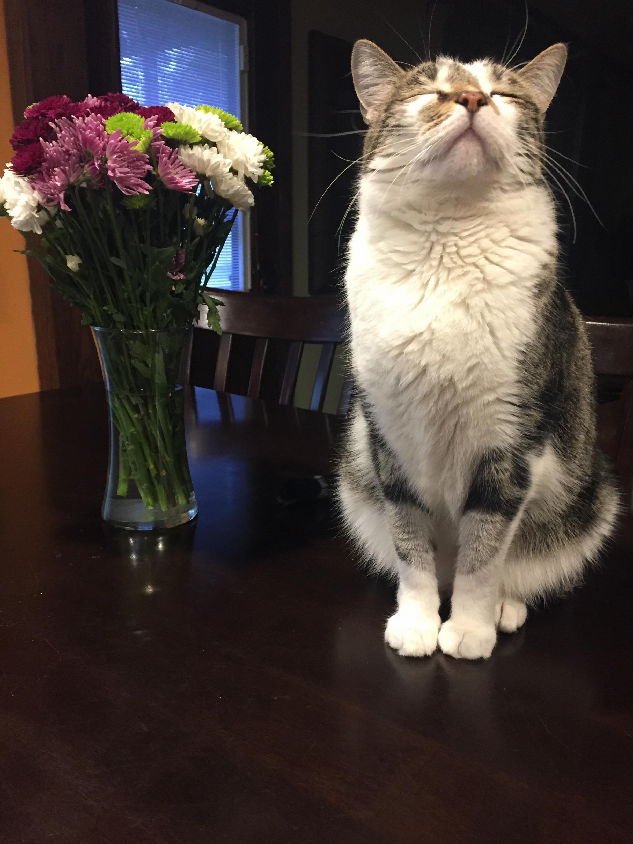 Table Decor