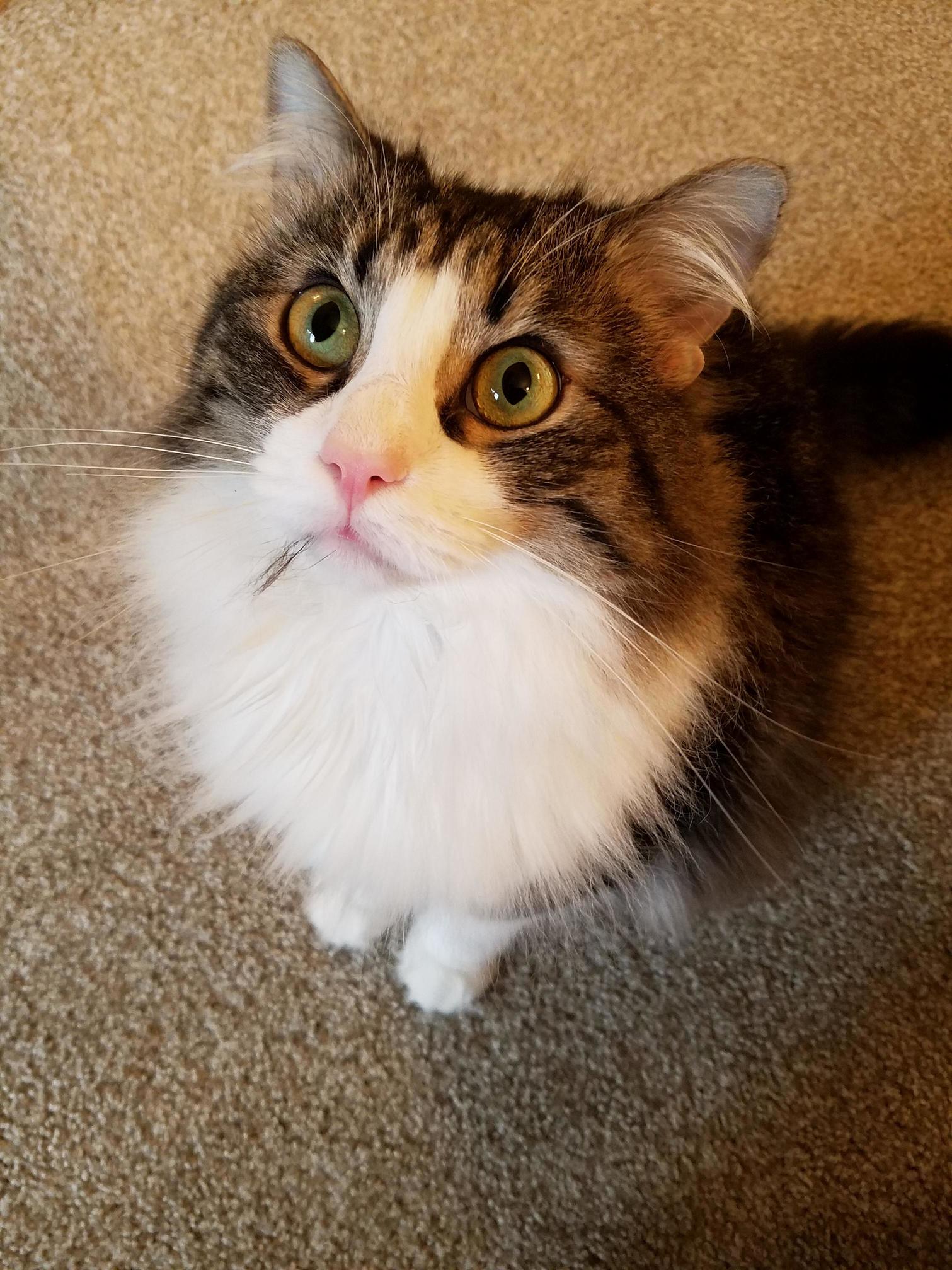 Taken Just After He Played with His Brother