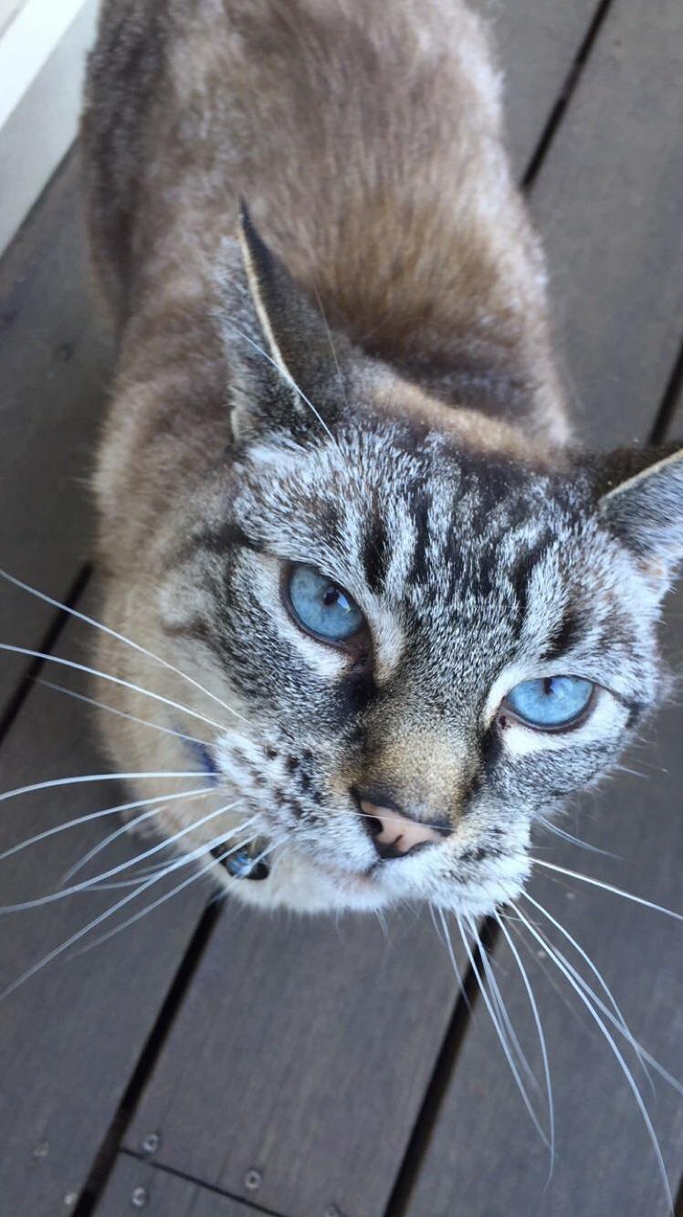Tanner and His Beautiful Eyes