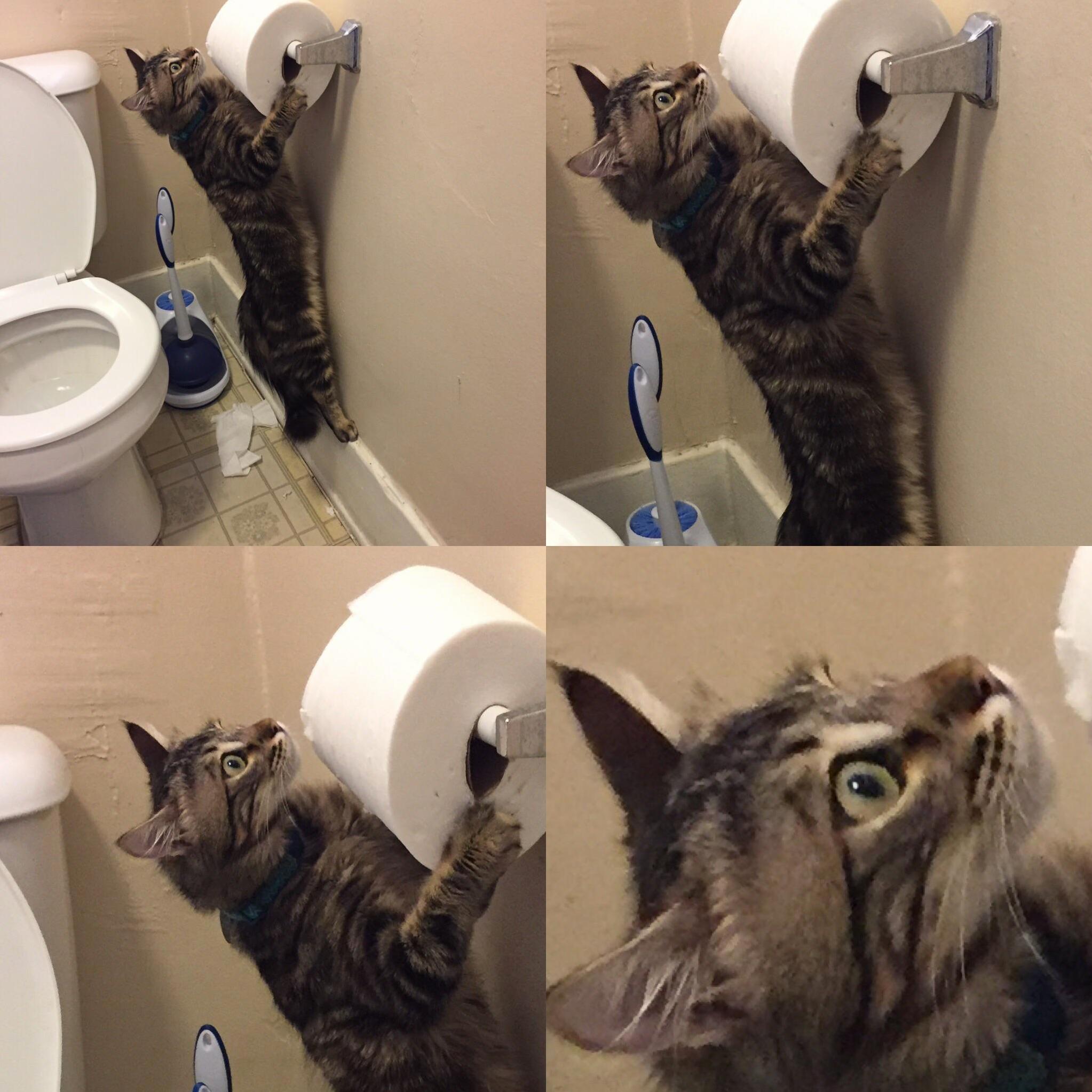 Tfw U Are About to Shred Some Tp but the Existential Nausea Hits U Hard