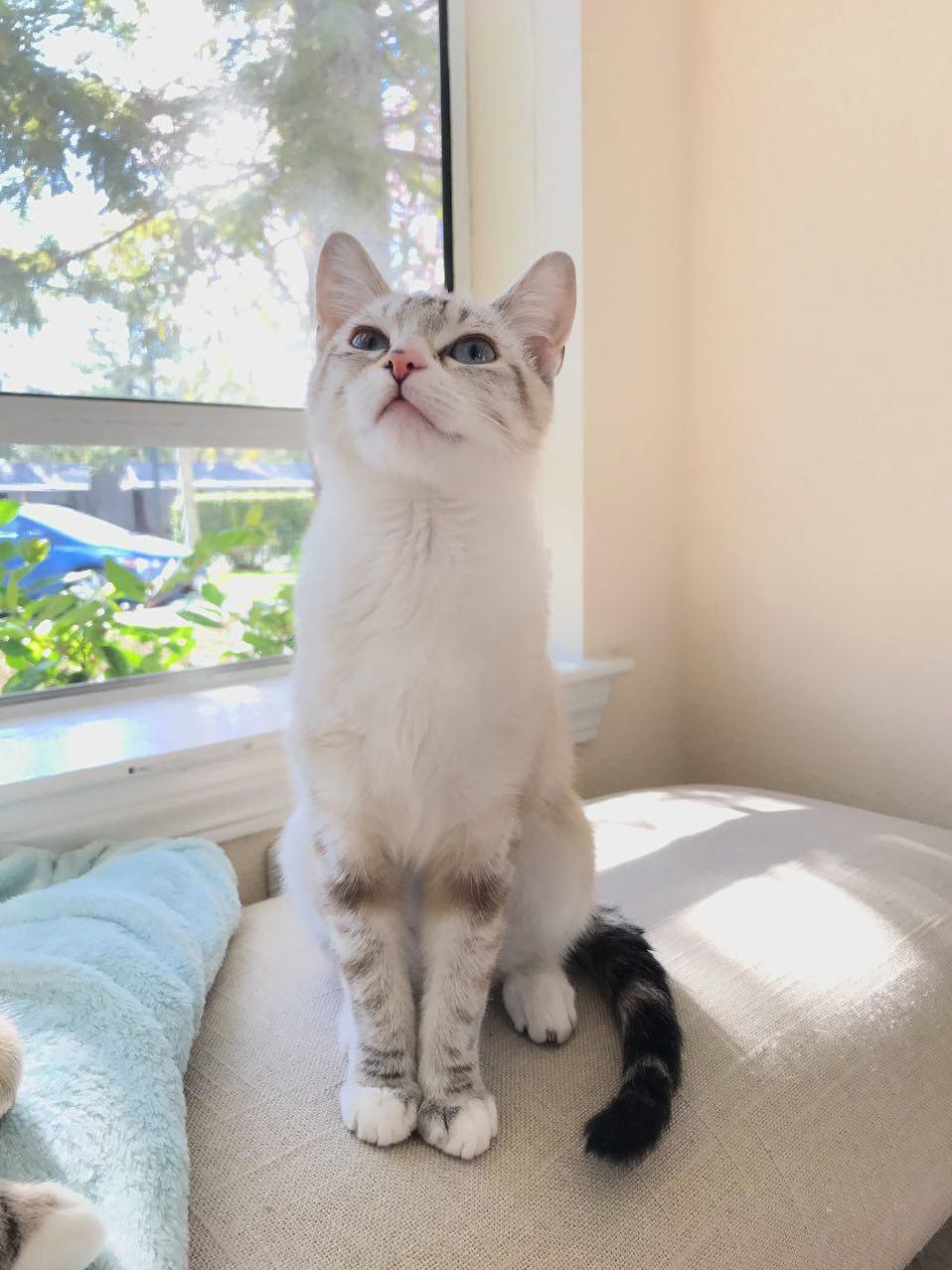 That Doesnt Smell Like Dinner to Me Human