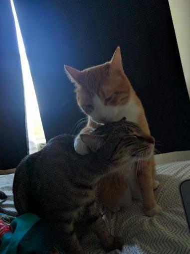 The Best of Friends
