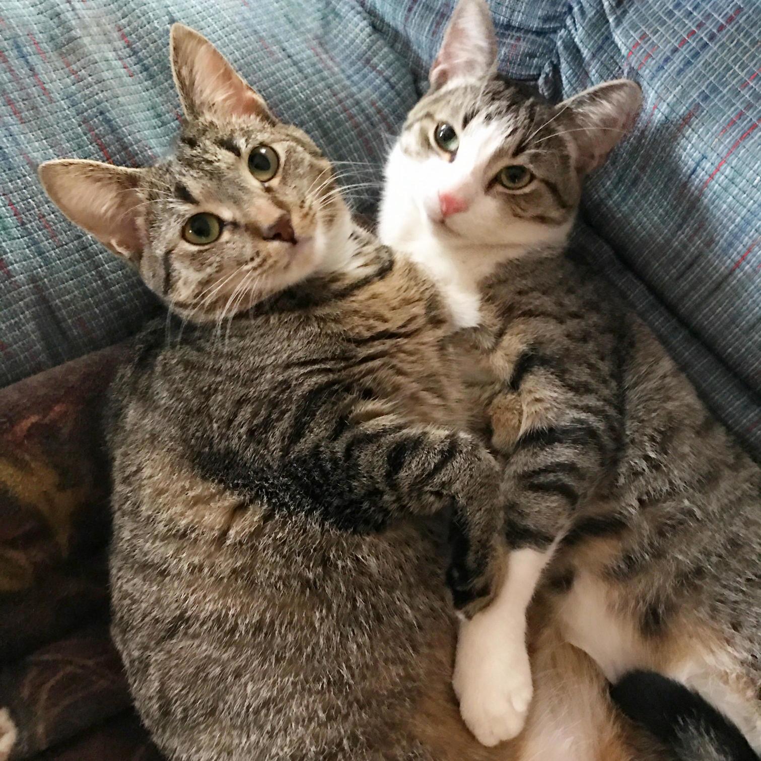 The Camera Adds Ten Pounds