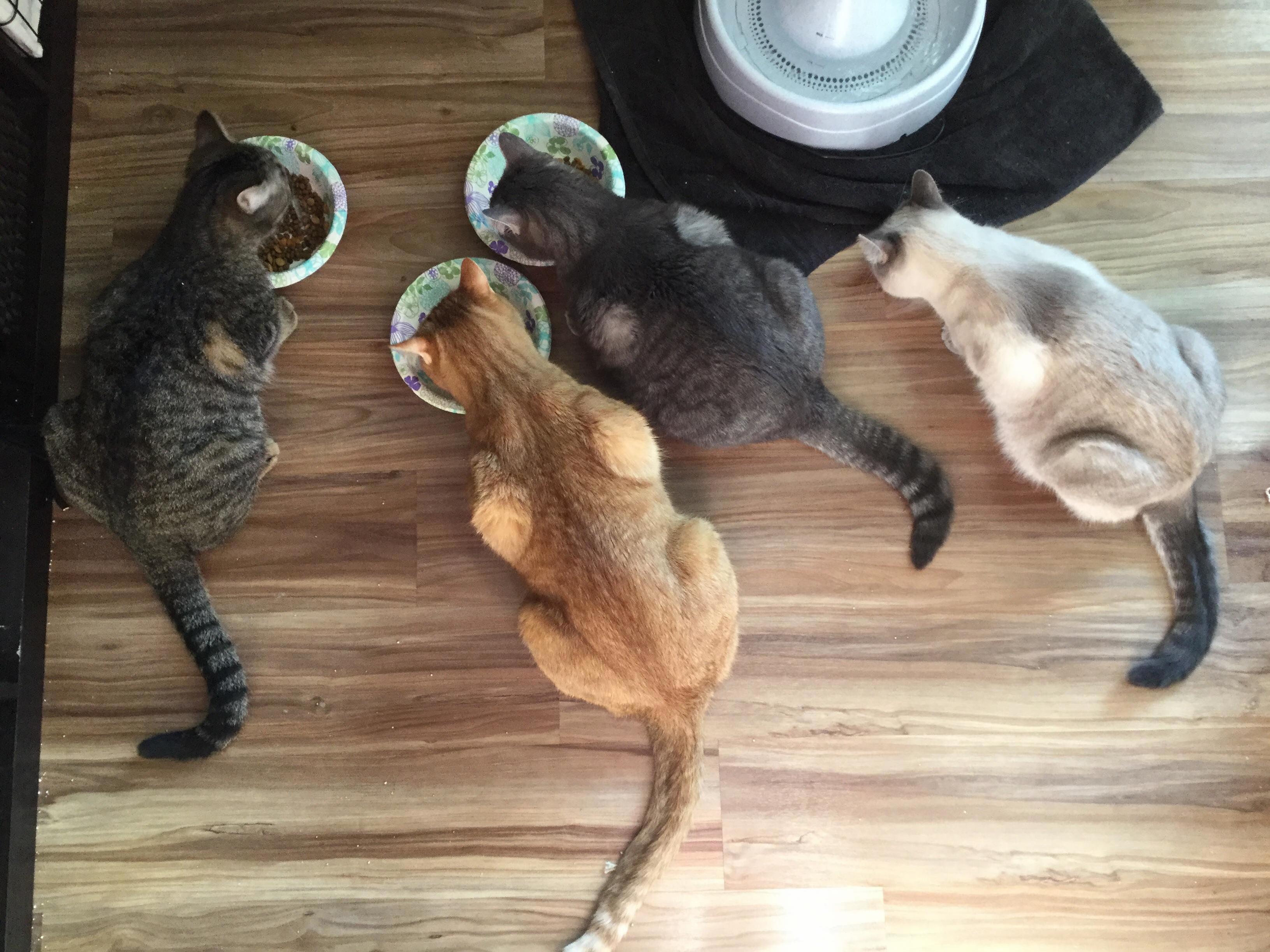 The Favorite Time of Day... Snack Time