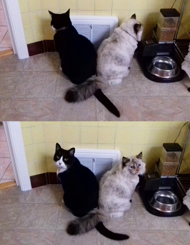 The Heater Vent Is Always Better with a Buddy