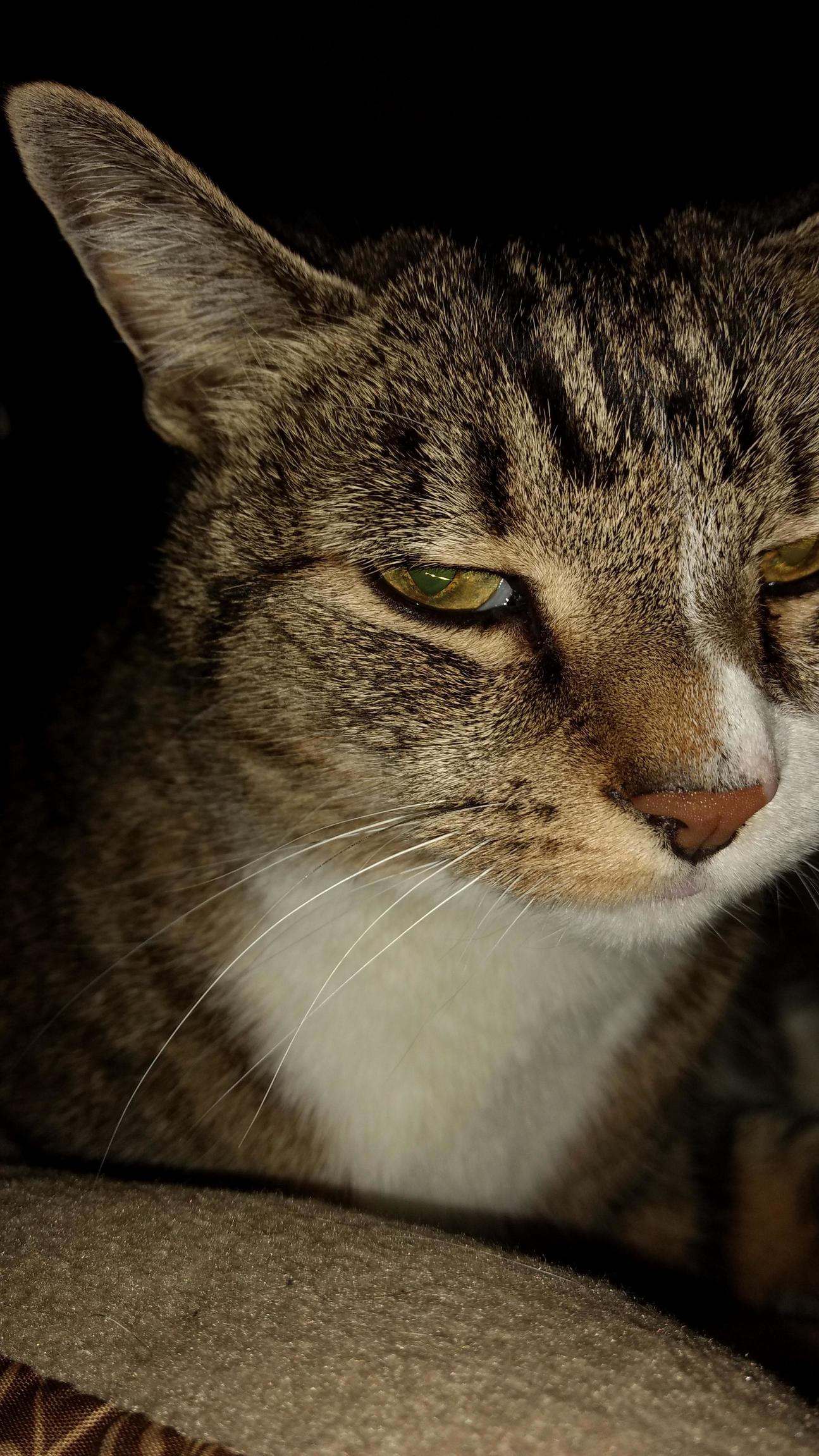 The Look That I Get When I Wake Her Up from Her Slumber...