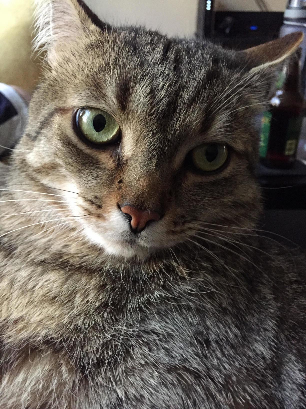 The Look You Have After a Night of Whiskey.