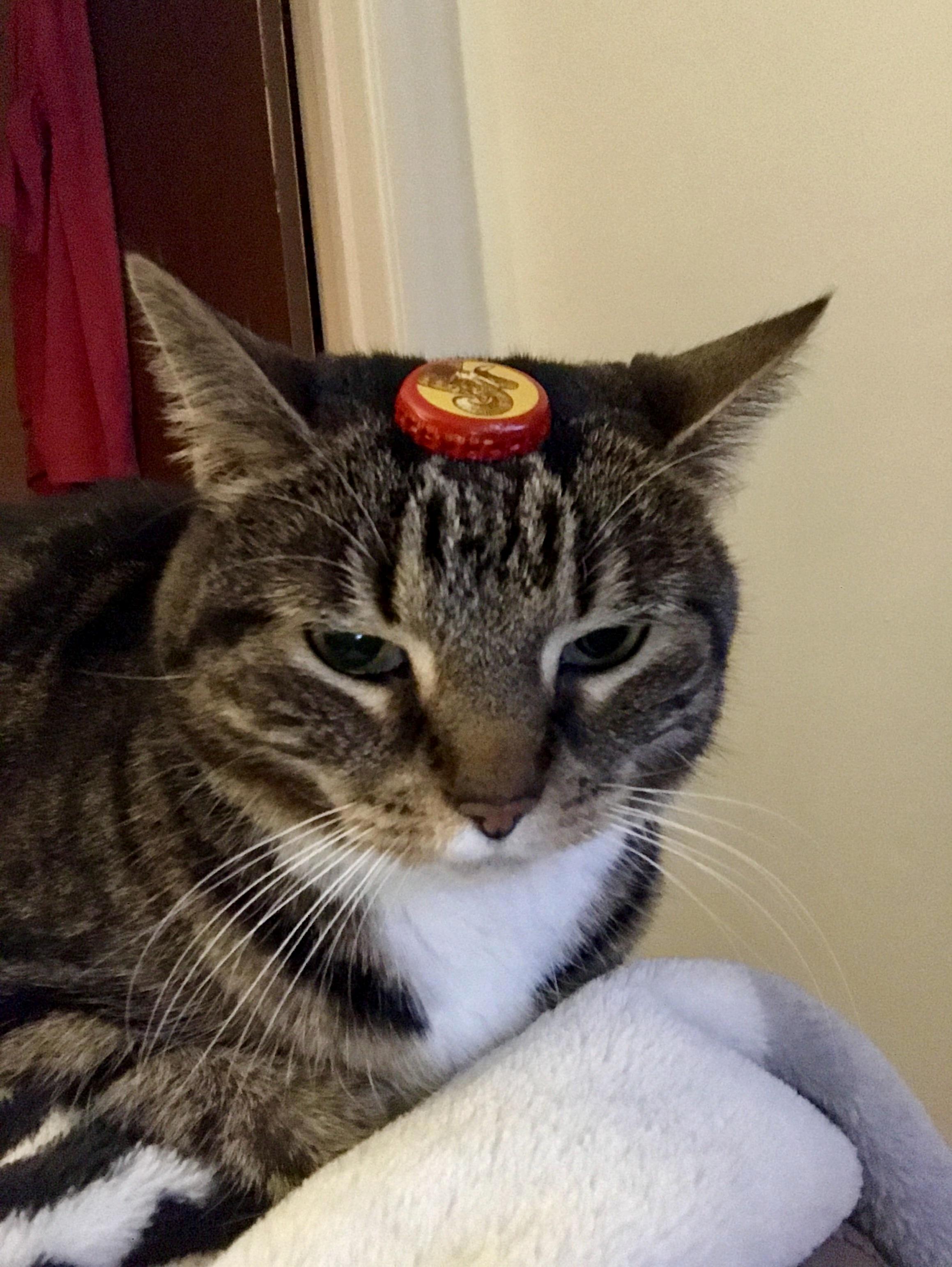The Queen of Beer.
