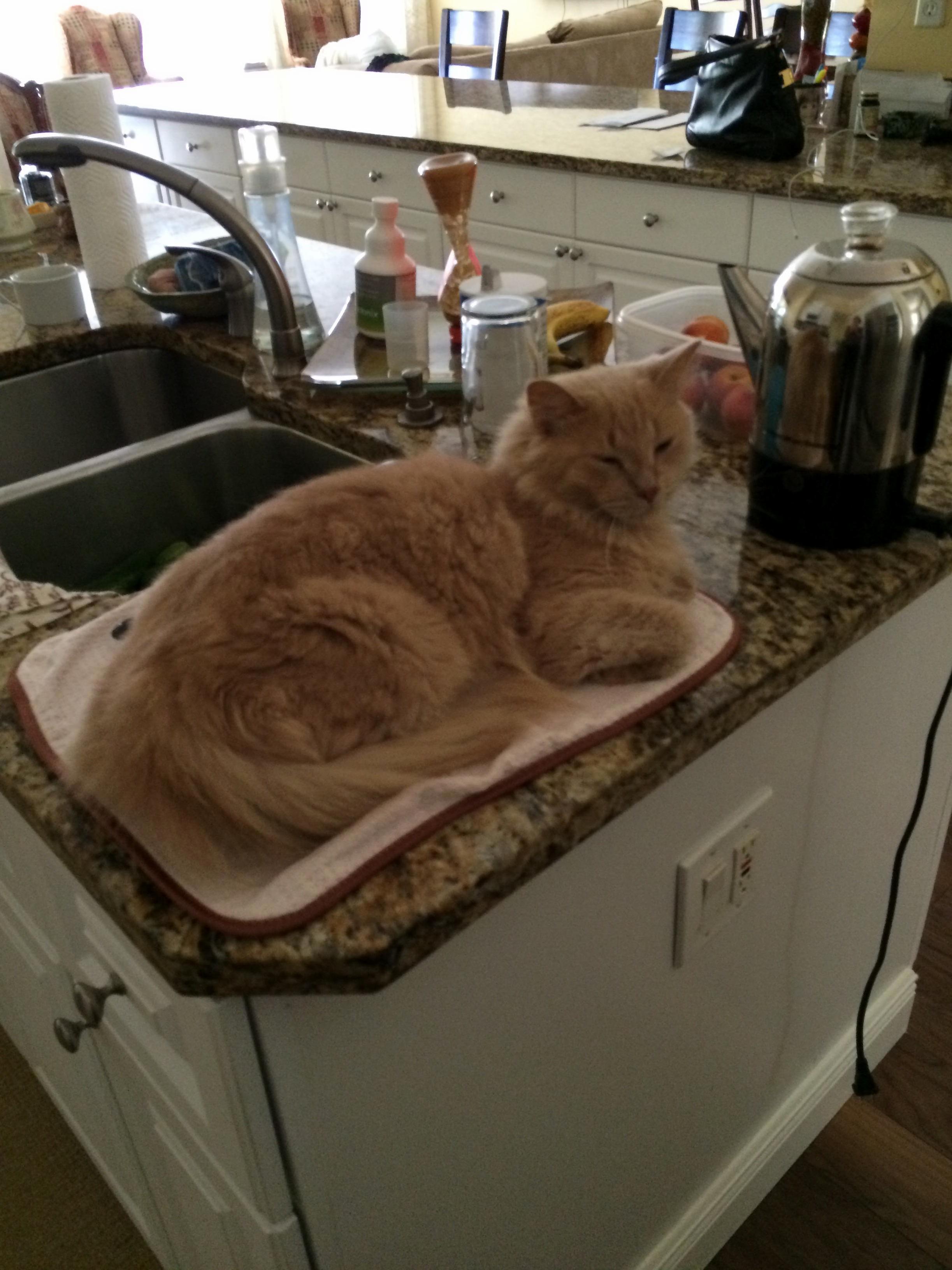 The Second My Eyes Are Off Him He Resorts to Mischief.