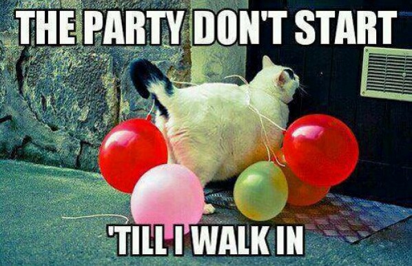 Theres No Party Without Me