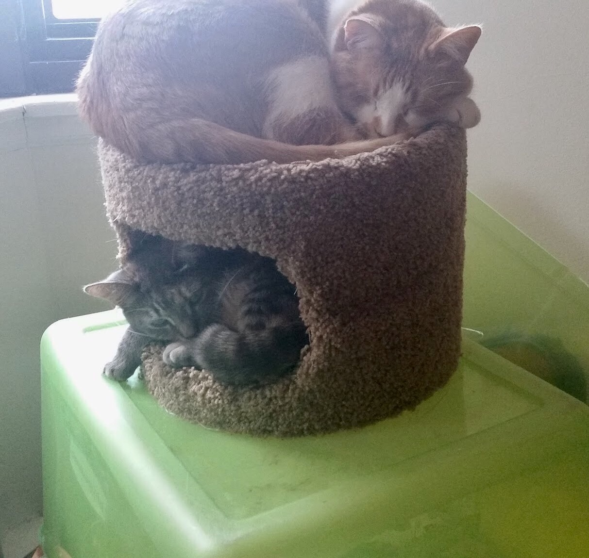 These Two Finally Found a Way to Share