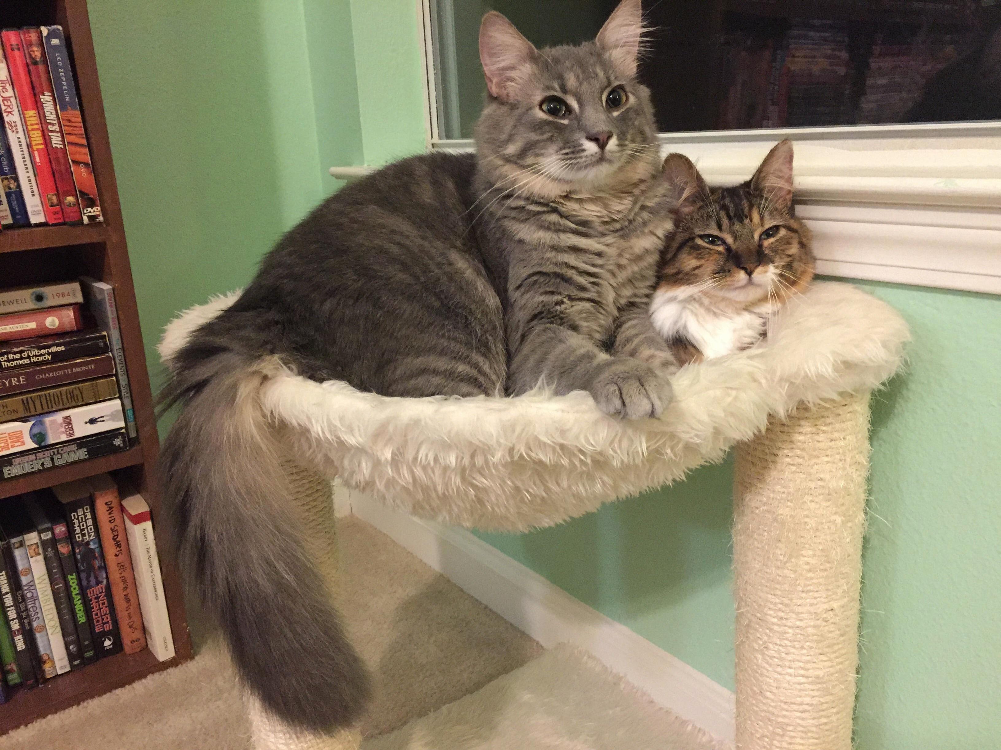 They Look Comfortable