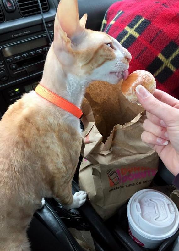 This Doughnut Hole Pleases Me