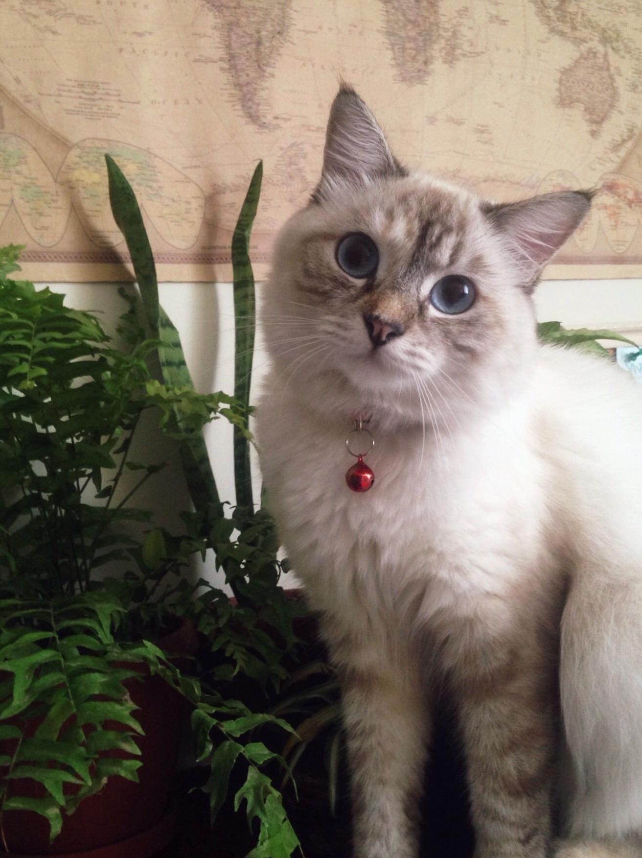 This Is Lana. We Ve Been Friends for a Year Now.