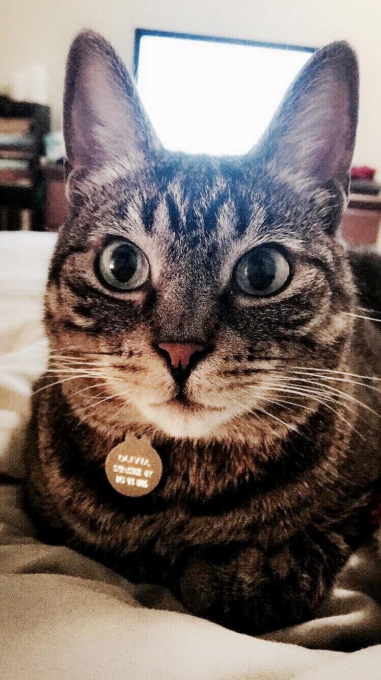 This Is Olivia Greeting Me As I Wake Up This Morning.
