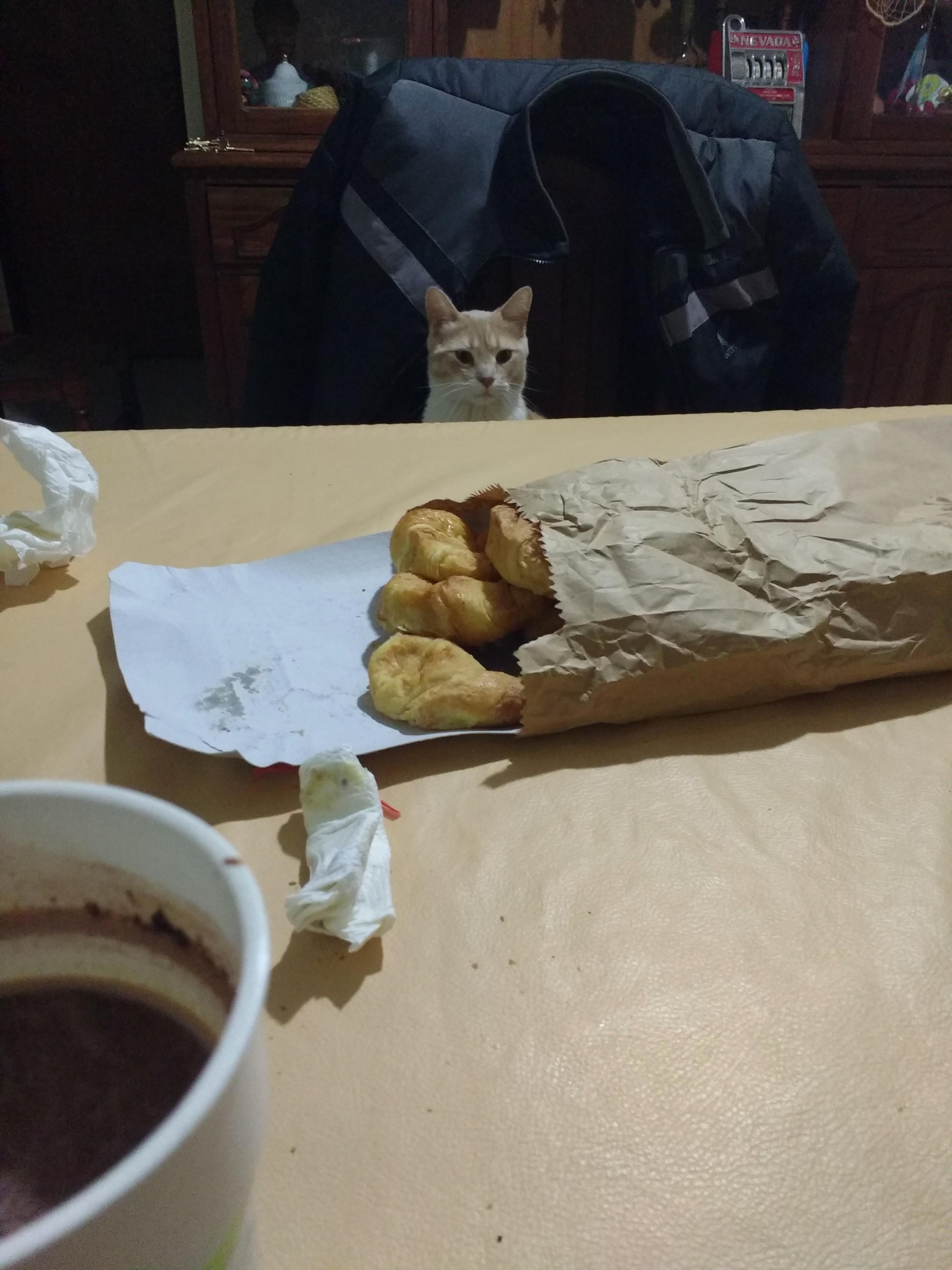 This Isnt Tuna