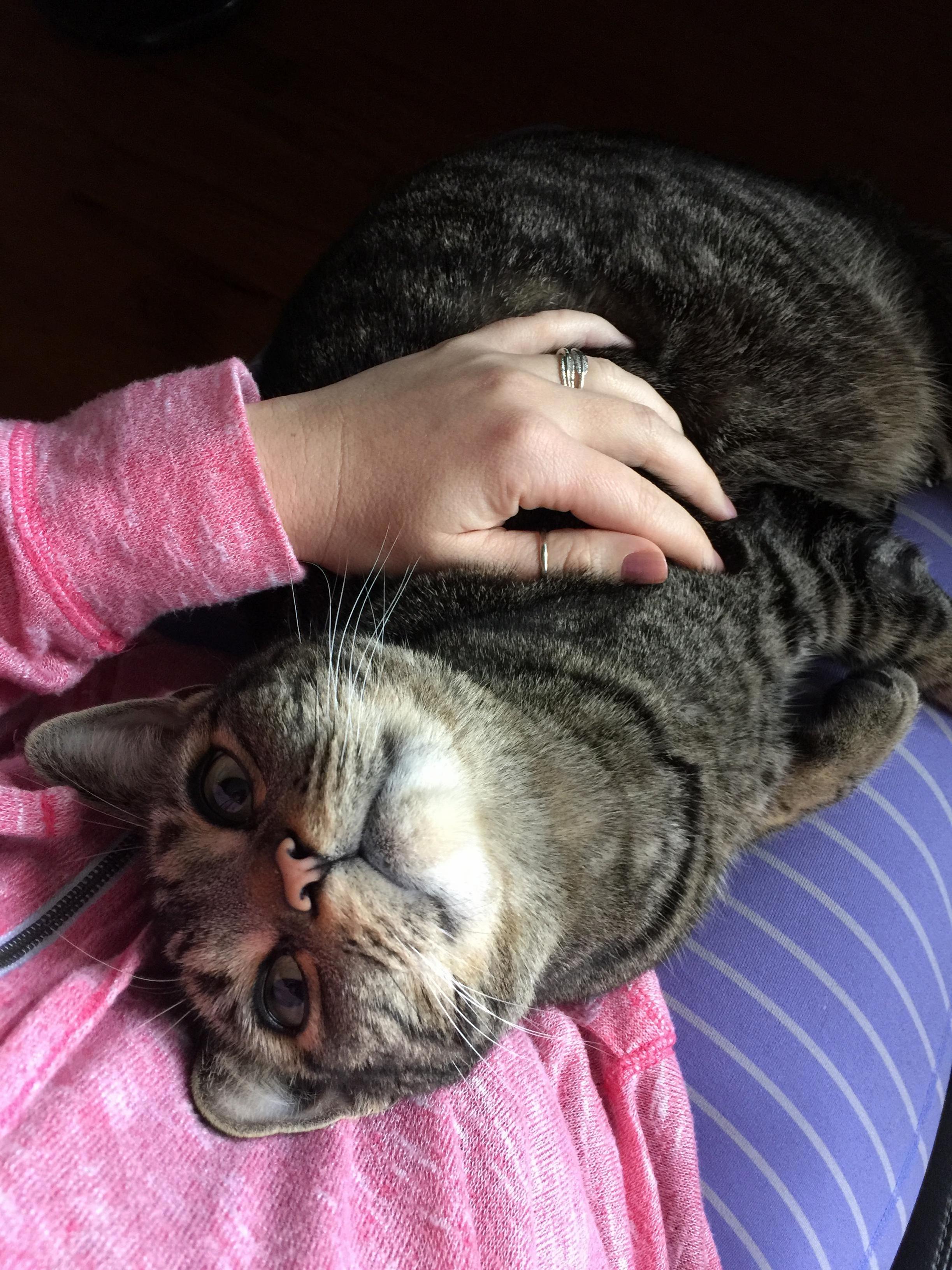 This Smug Bastard Stealing My Wife Heart.