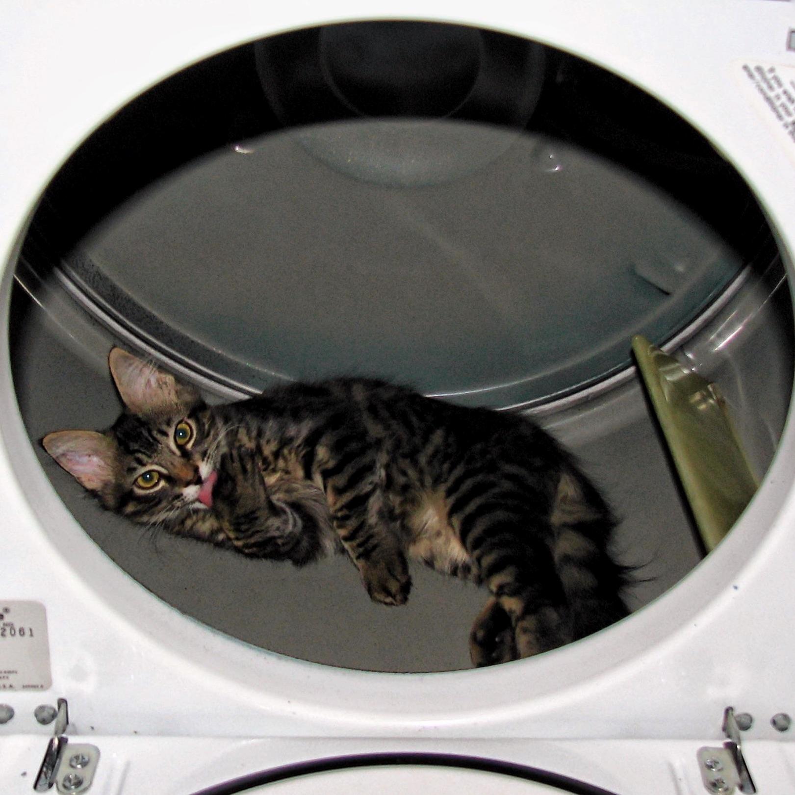This Was One of Phantoms Favorite Spots to Take a Bath.