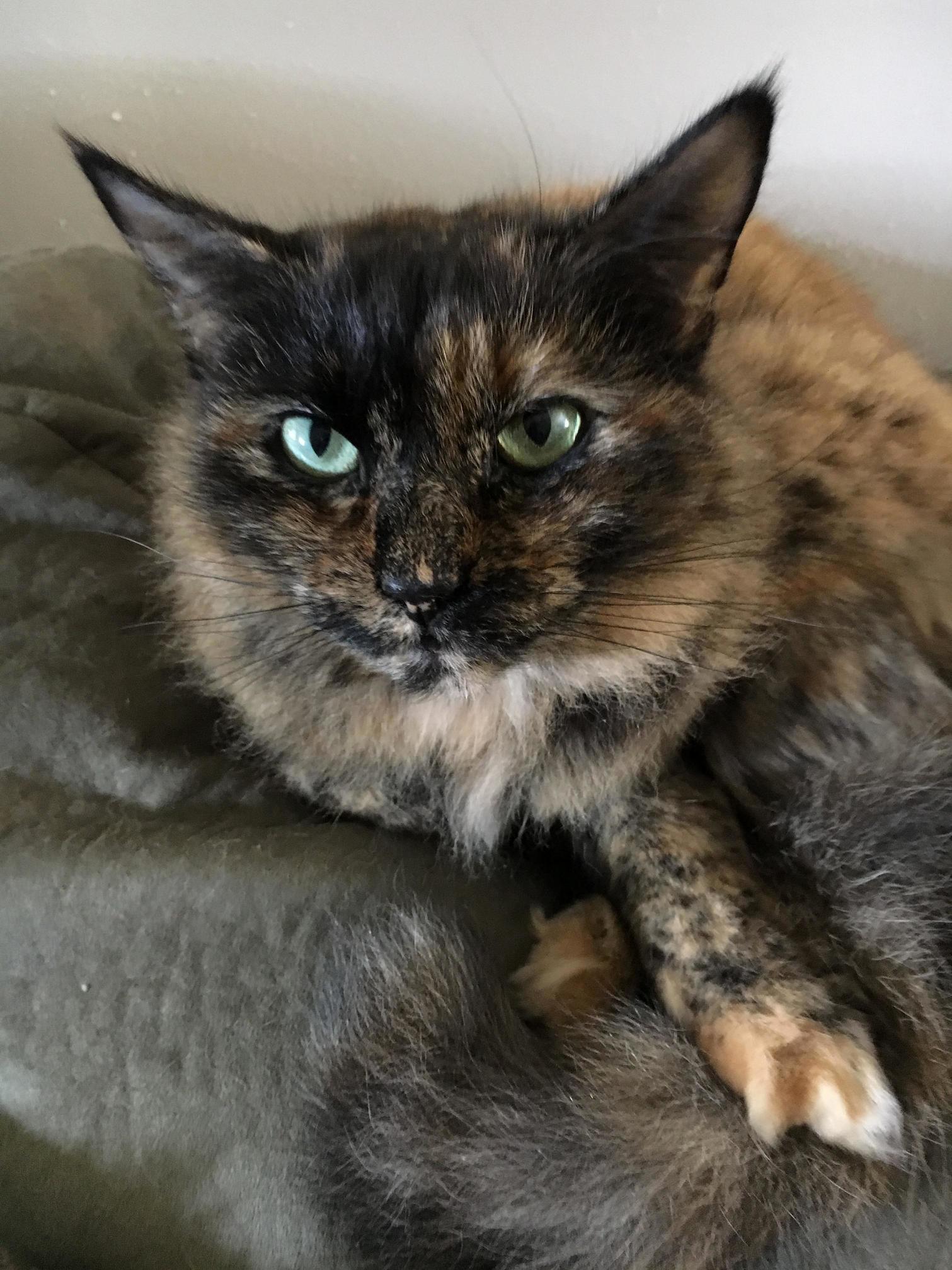 Those Eyes