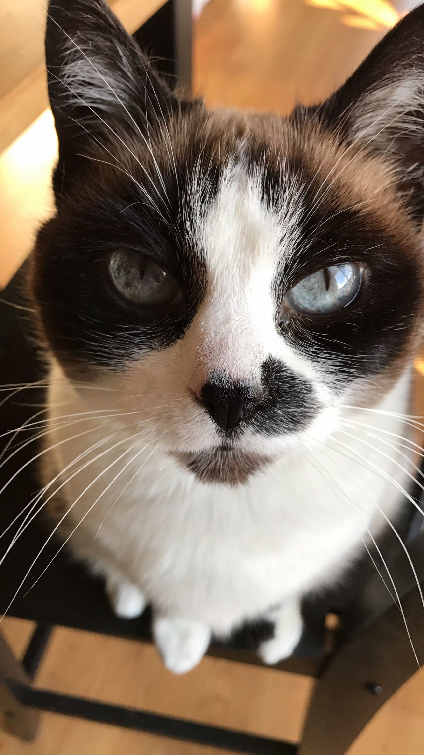 Those Sharp Eyes