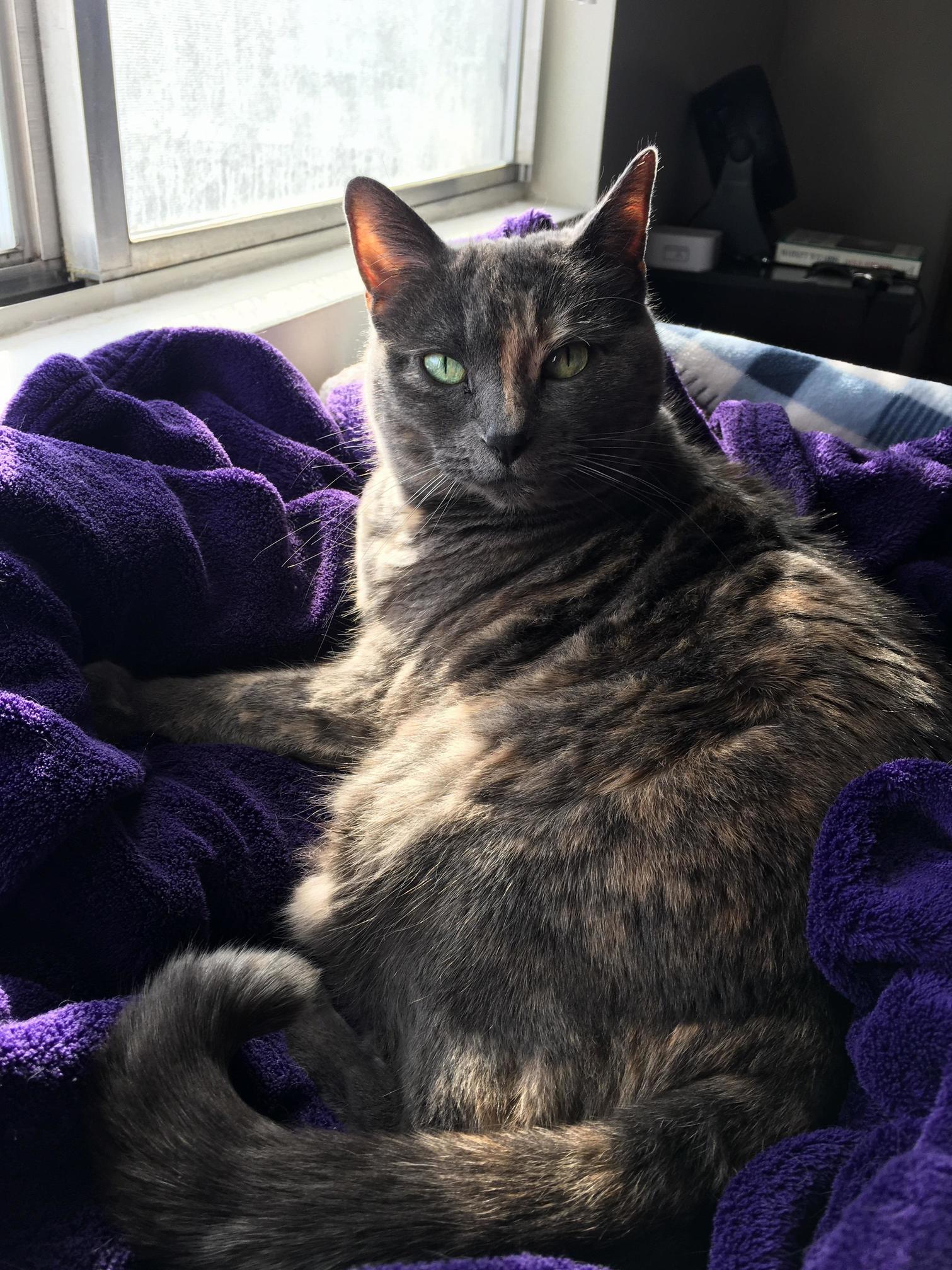 Took This Beautiful Picture Today of My Sun Soaking Girl Lady.