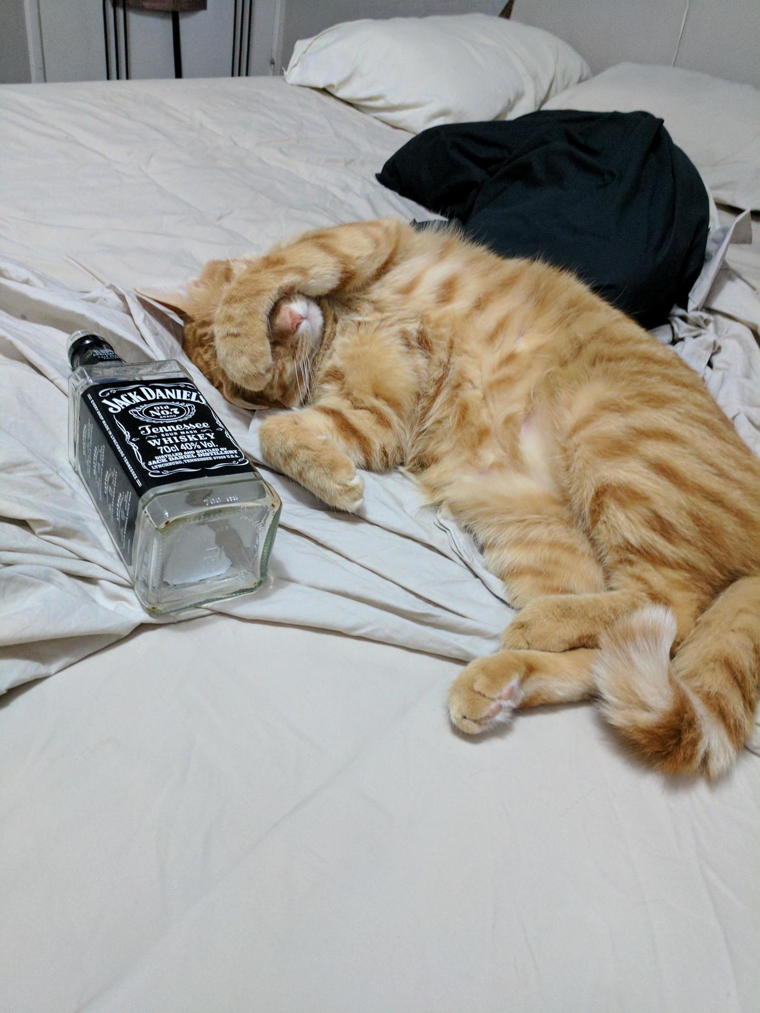 Turn Off the Light