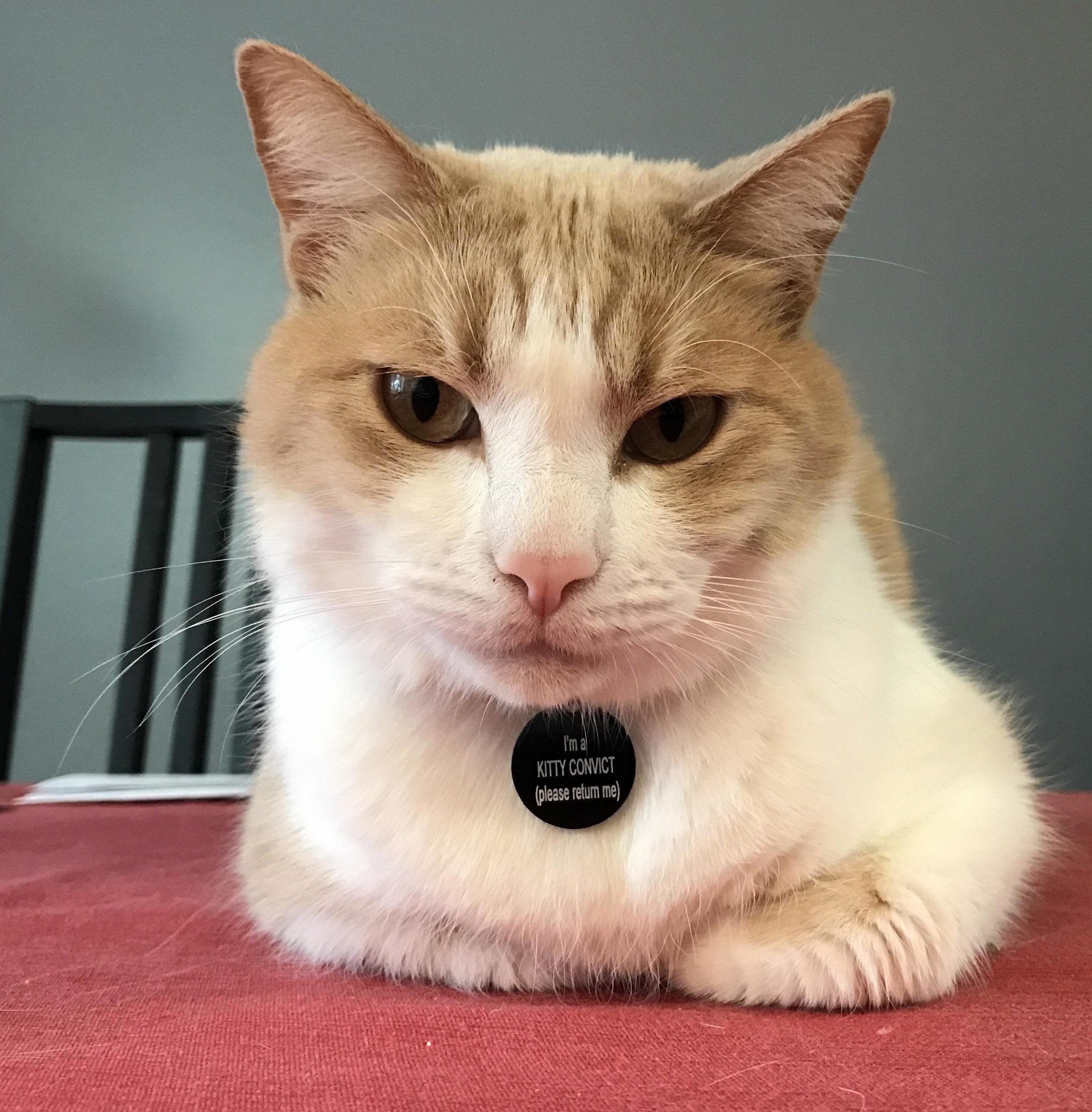 Tywin Has Weird Legs.